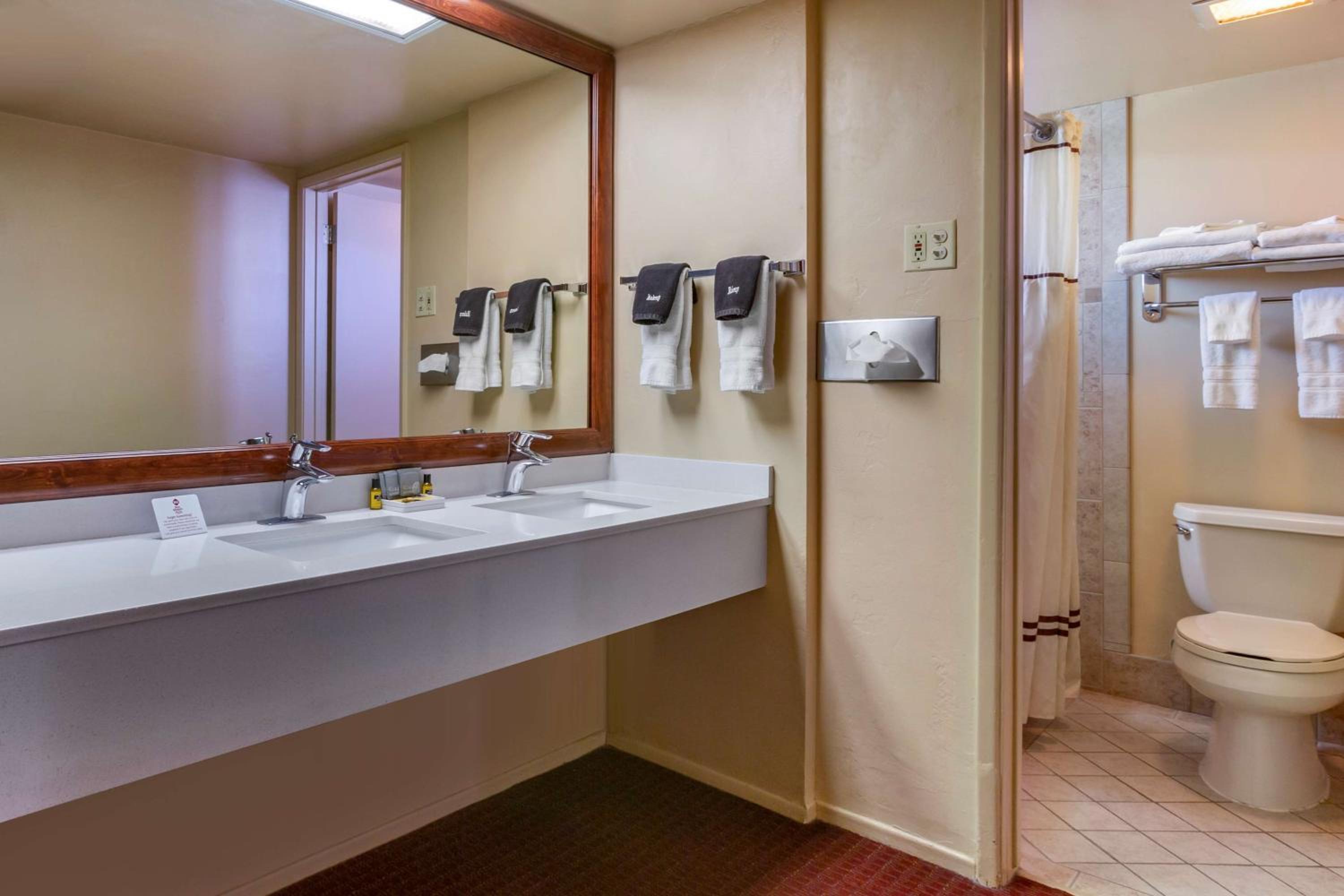King Room photo 2