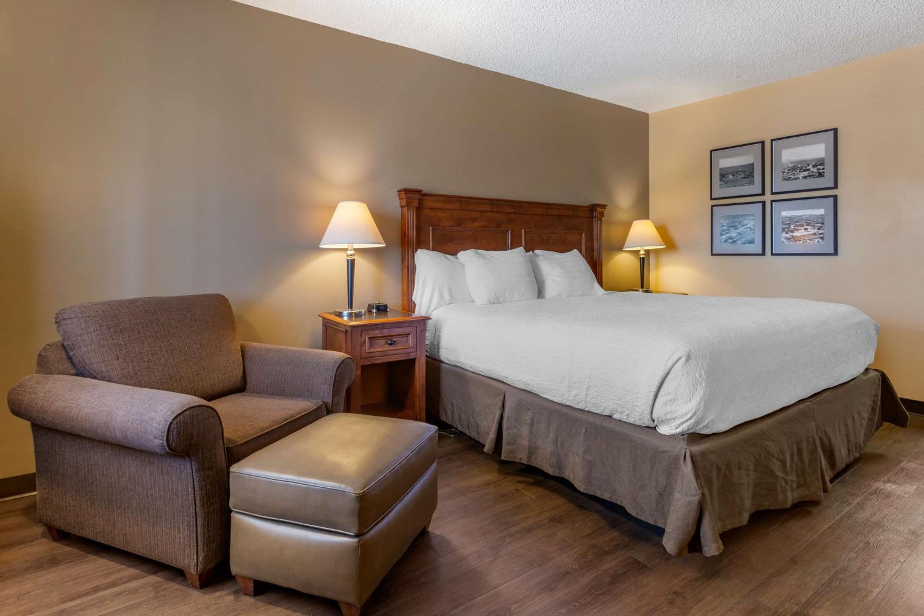 King Room - Pet-Friendly photo 2