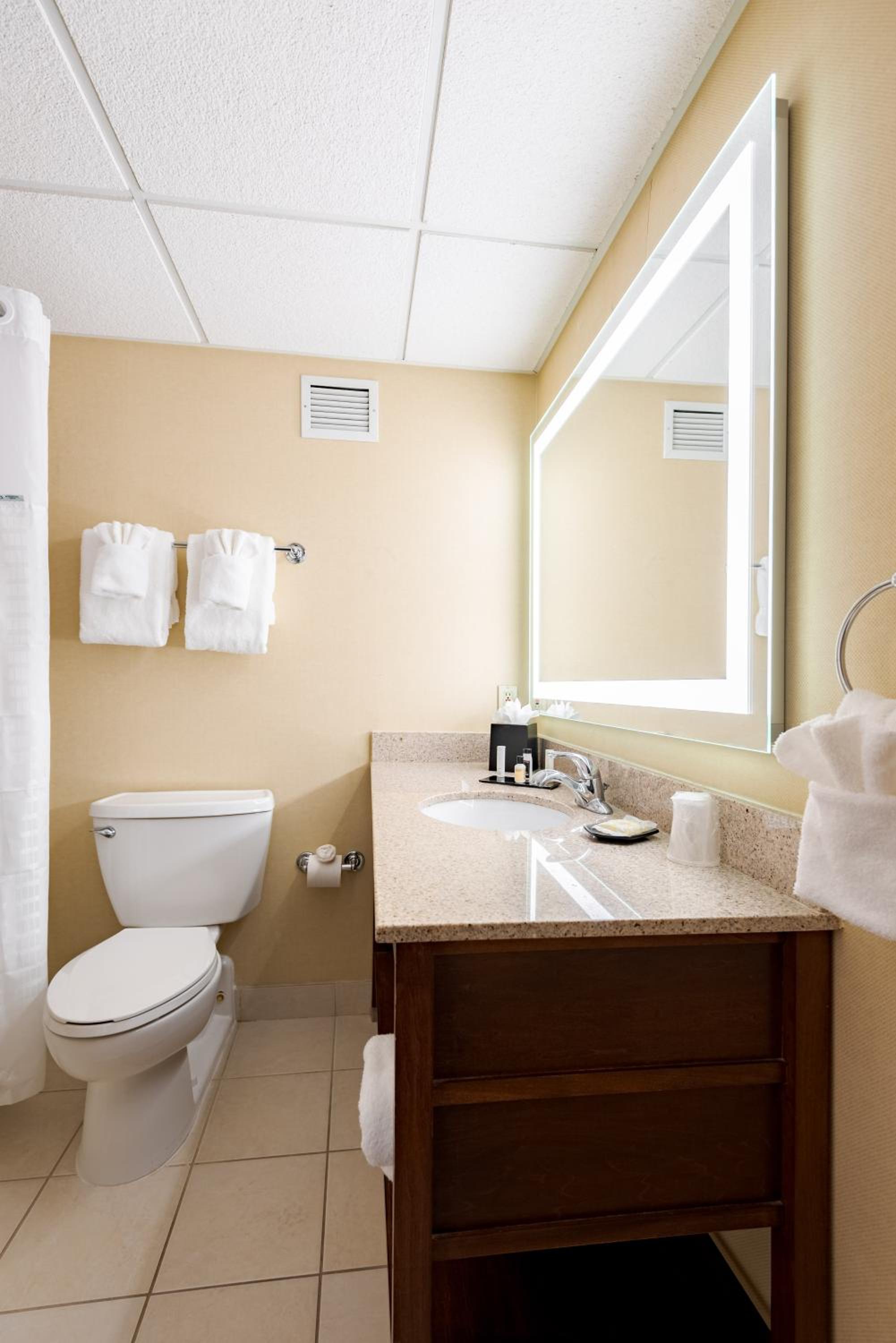 King Room - Non-Smoking photo 3