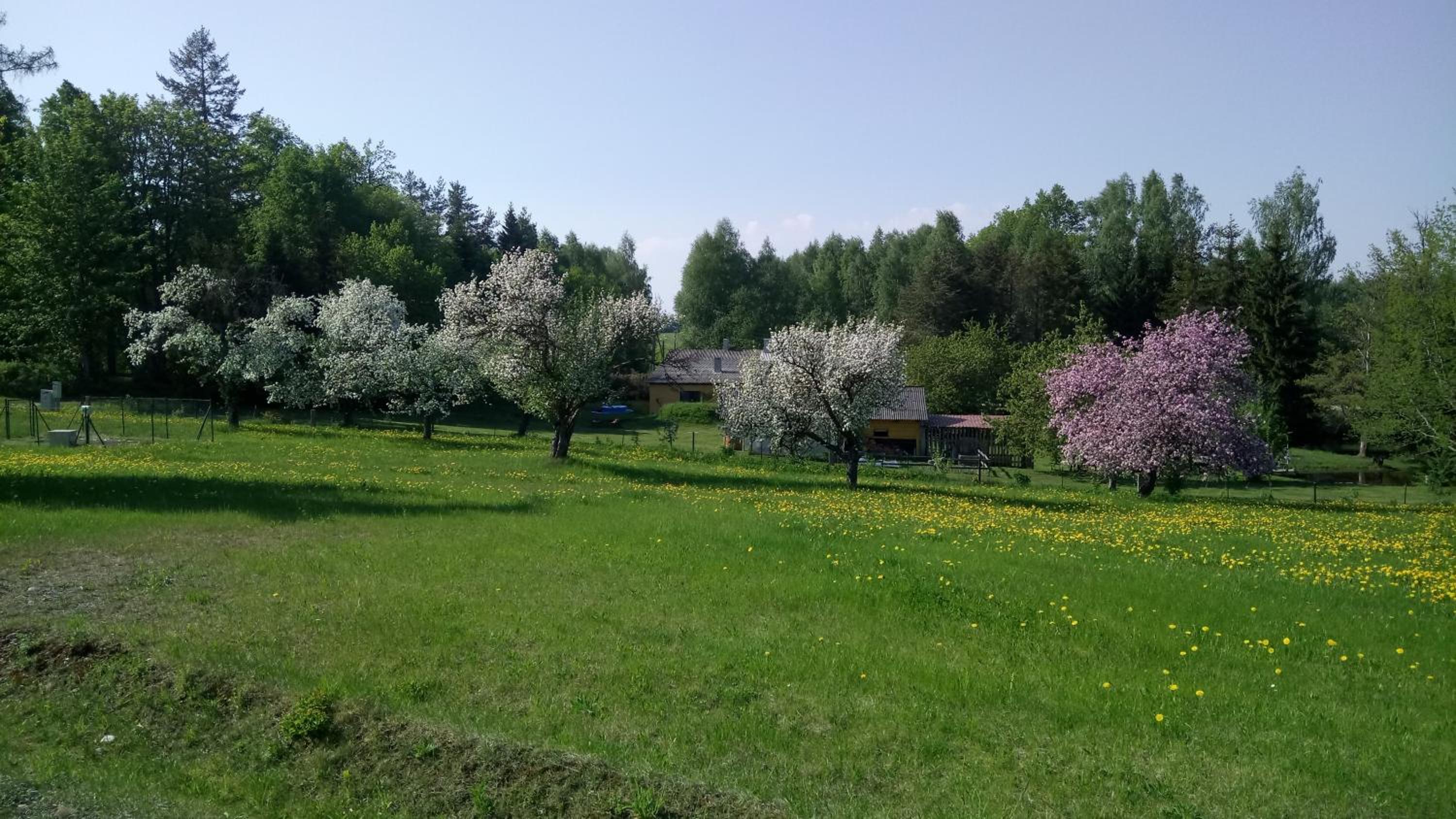 Vacation Home - Photo 31