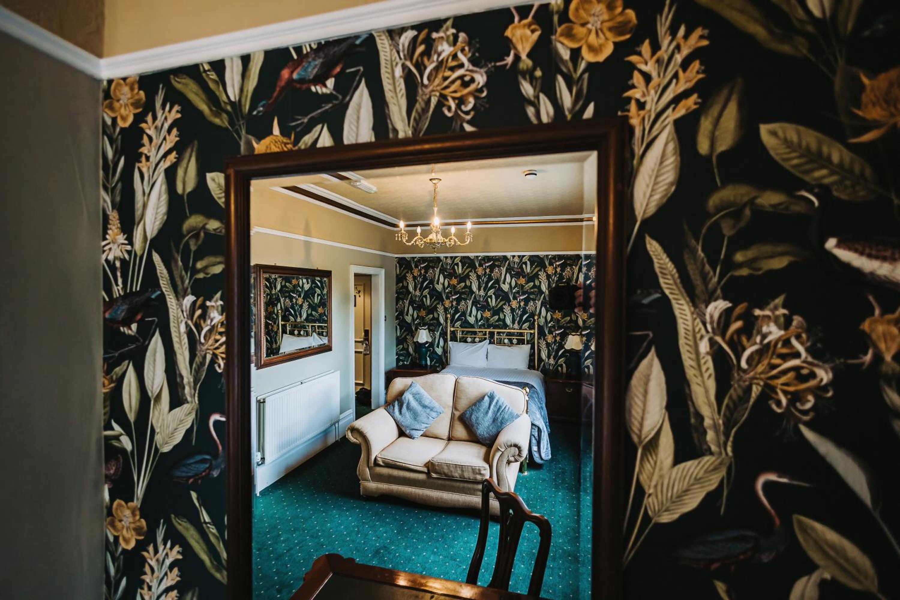 Executive Suite (No pets allowed) - Photo 1