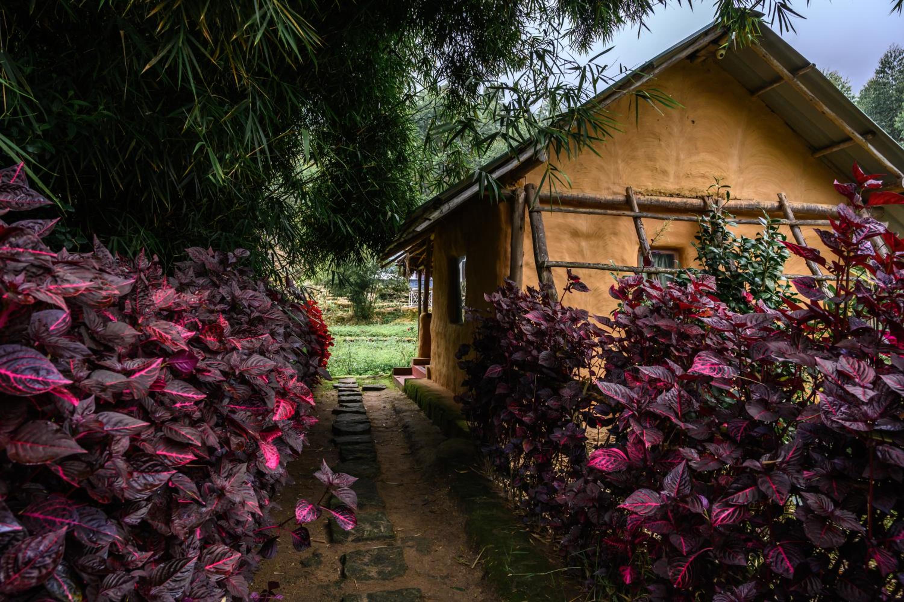 Premium Mud House photo 3