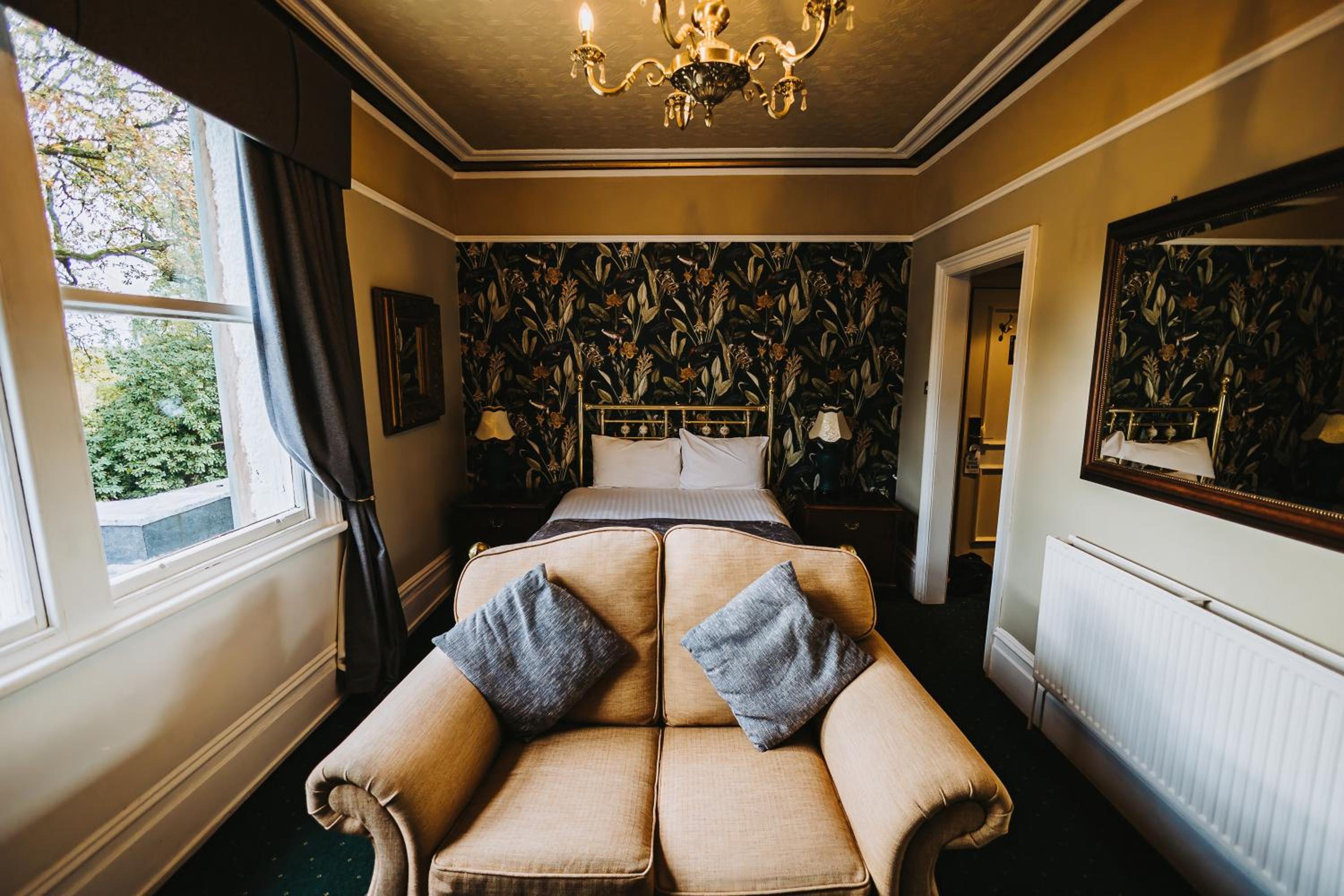 Executive Suite (No pets allowed) - Photo 3