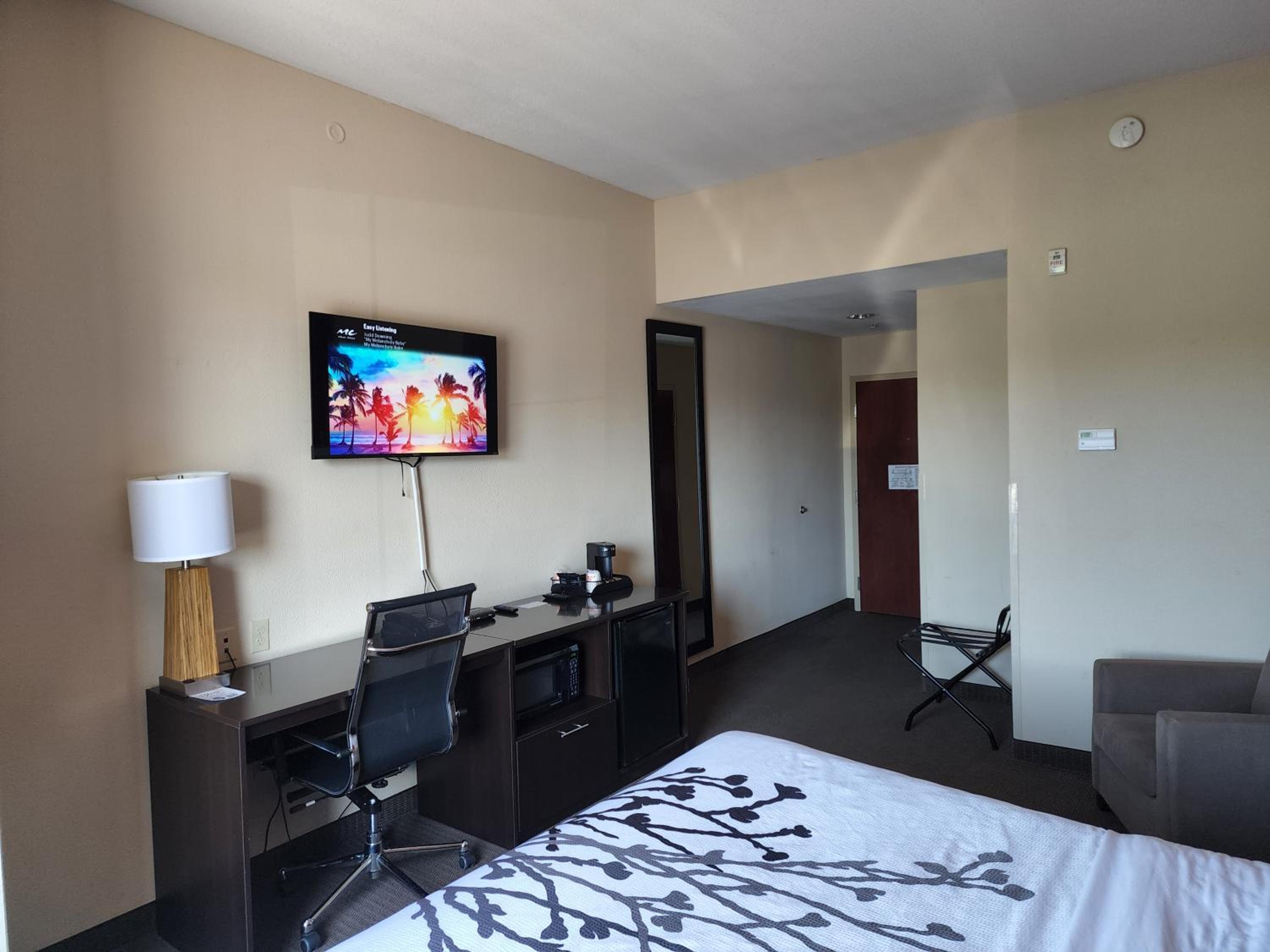 King Room - Non-Smoking photo 2