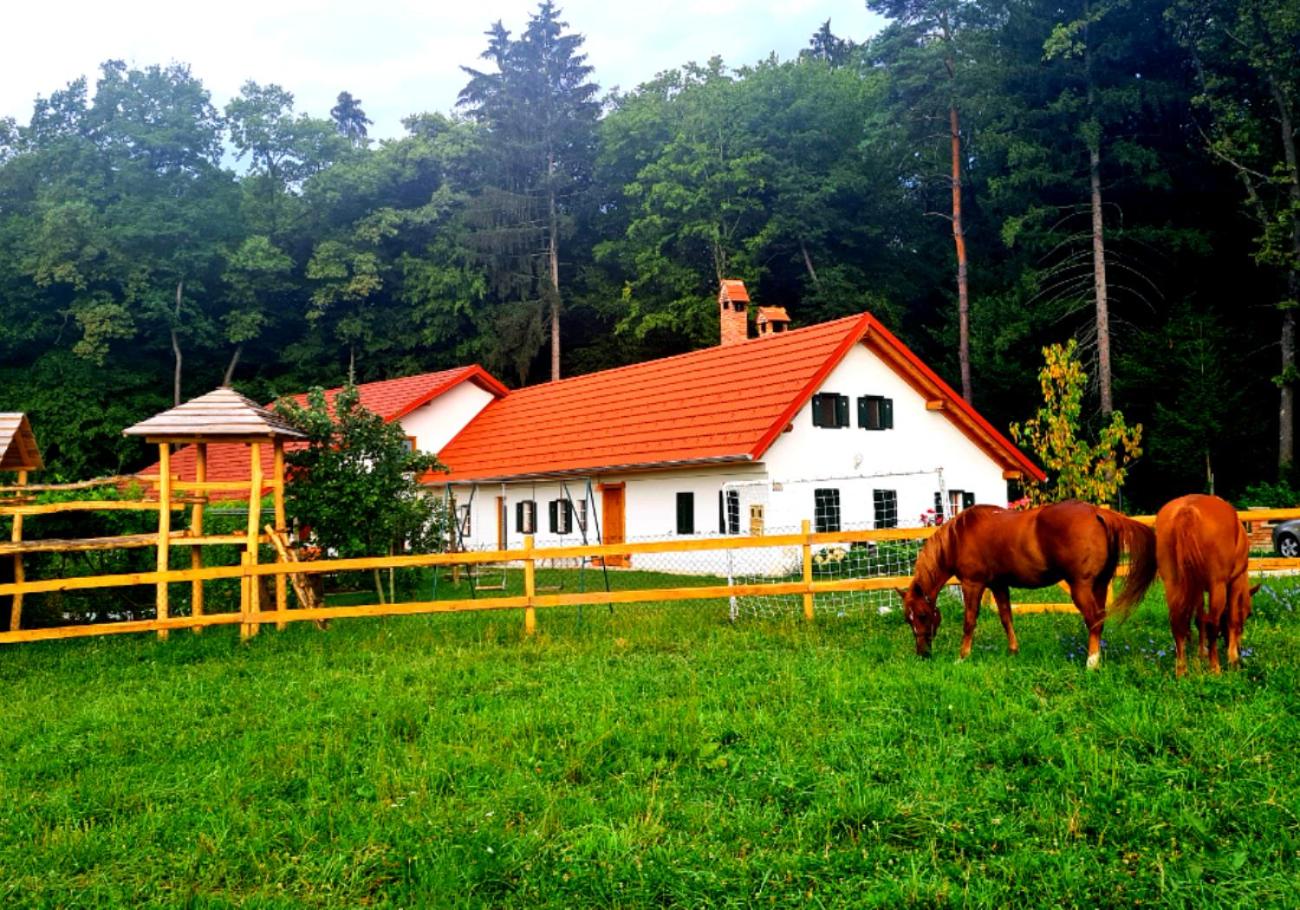 Two-Bedroom House - Photo 1