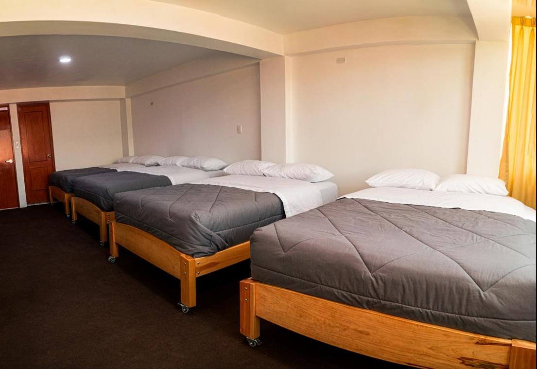 4-Bed Female Dormitory Room photo 2