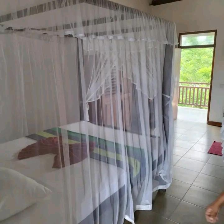 Double Room with Lake View photo 1