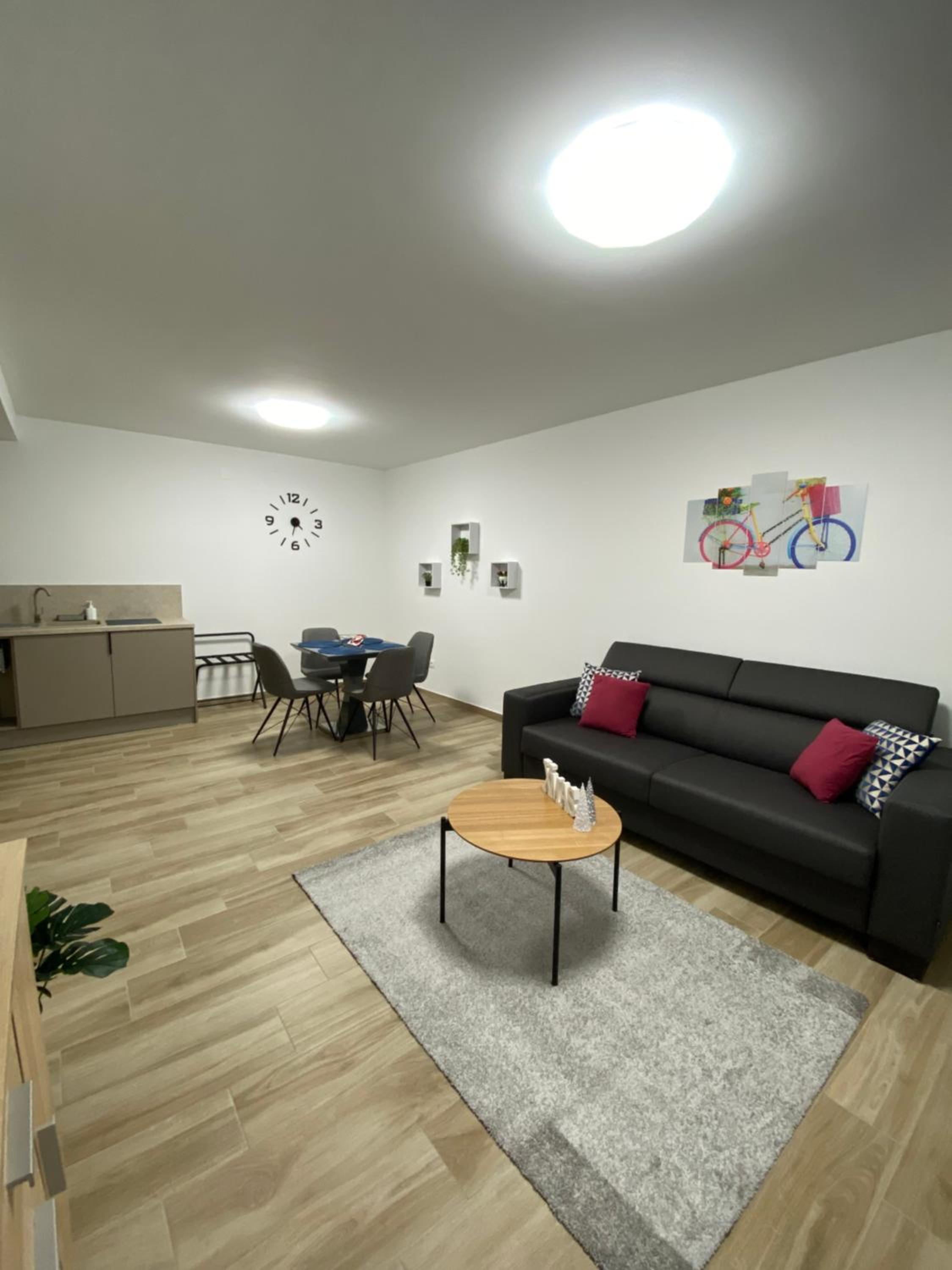One-Bedroom Apartment photo 2
