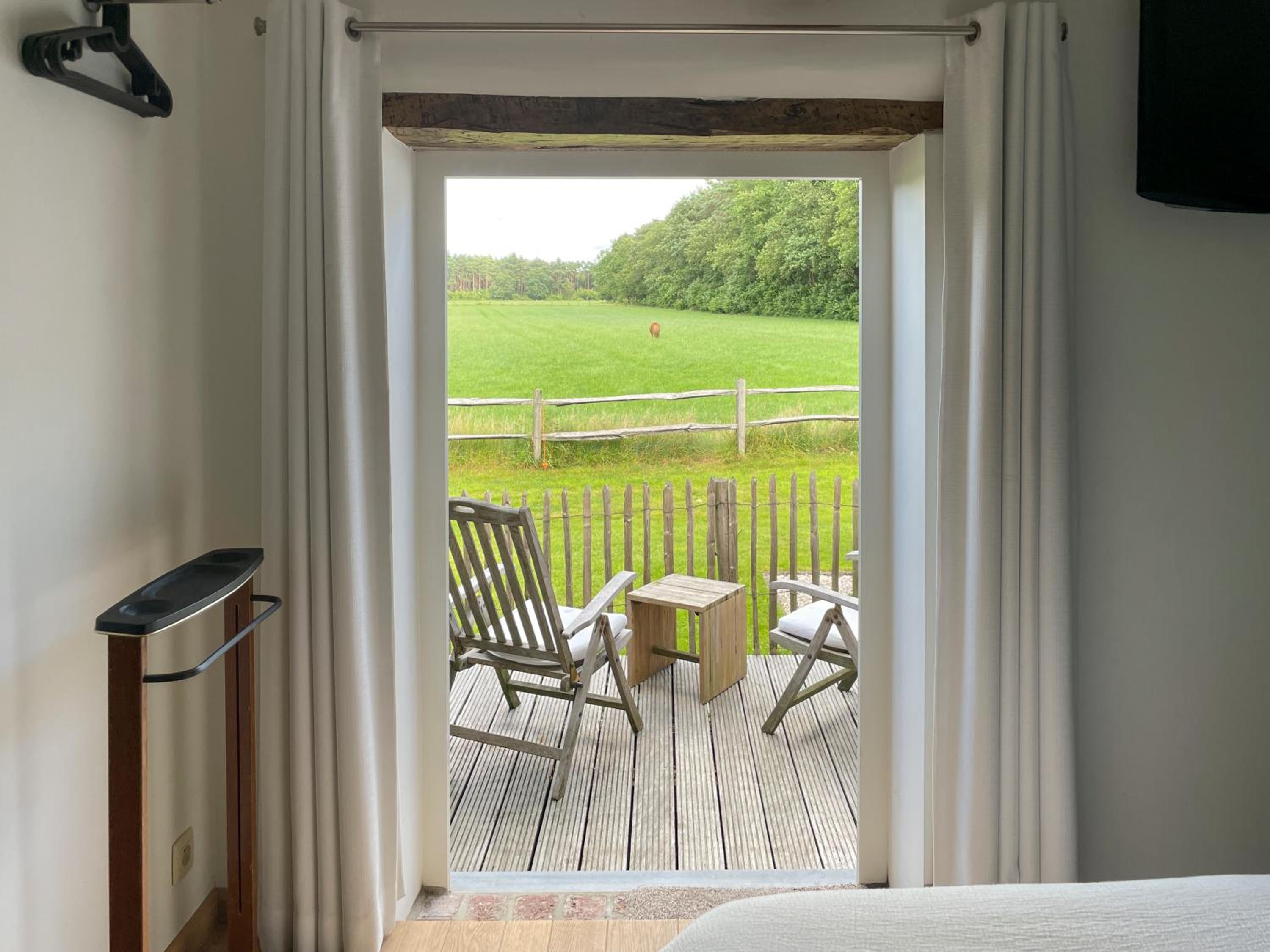 King Room with Garden View photo 2