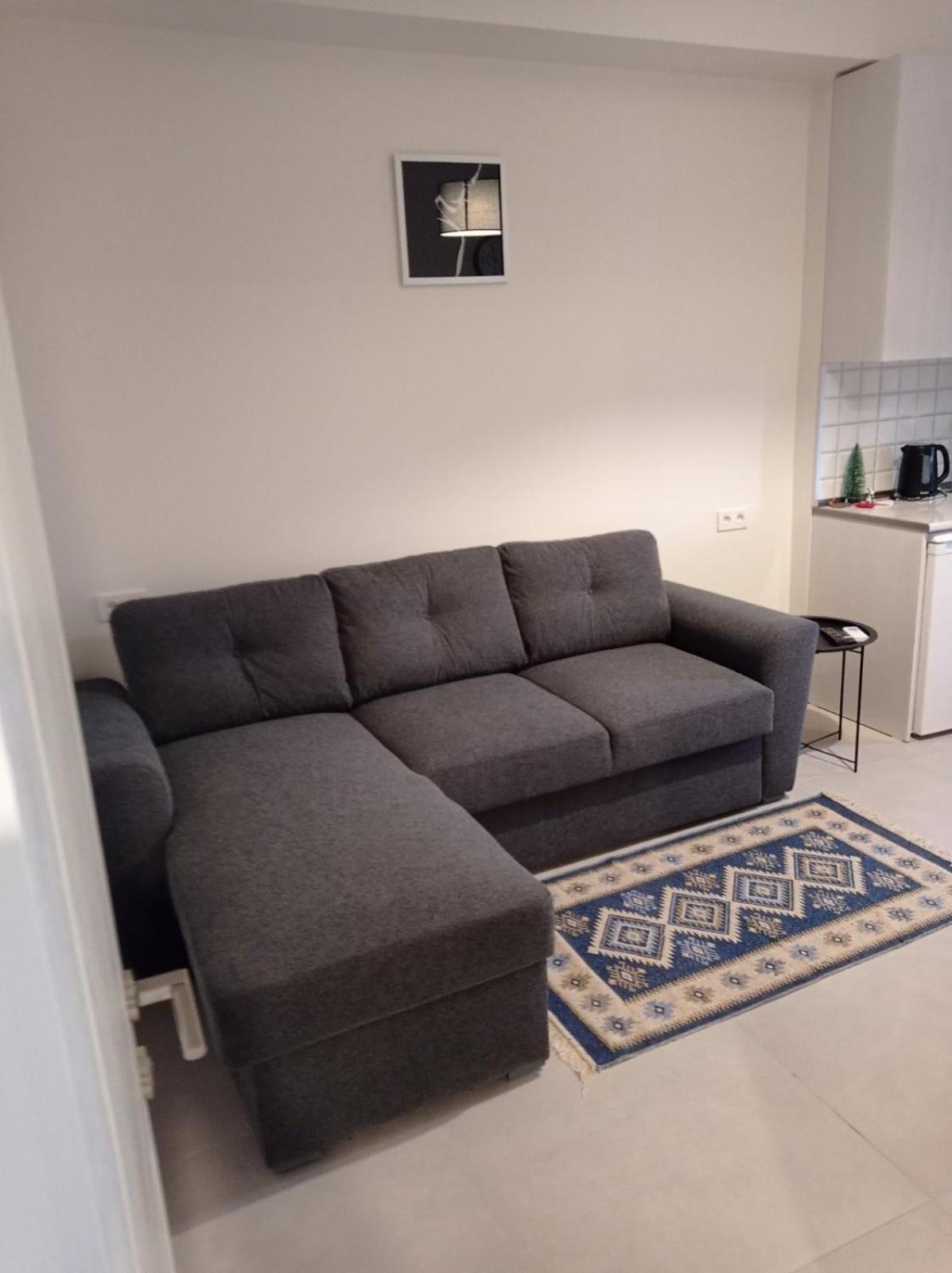 One-Bedroom Apartment photo 3