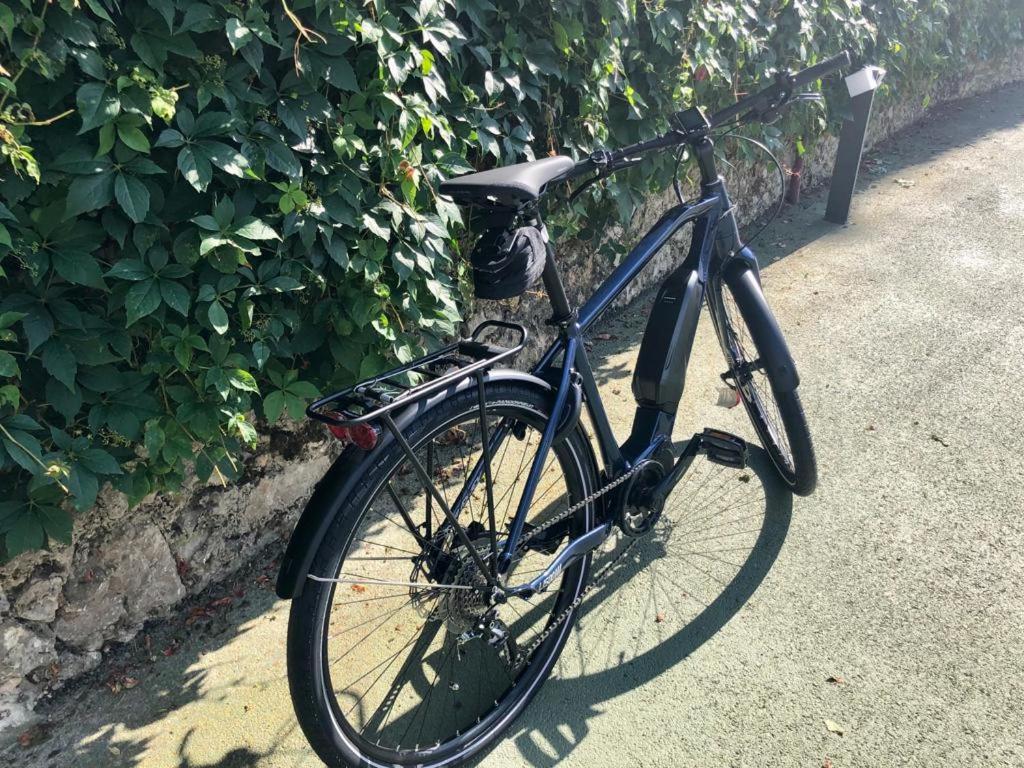 Standard Double Room with eBike photo 2