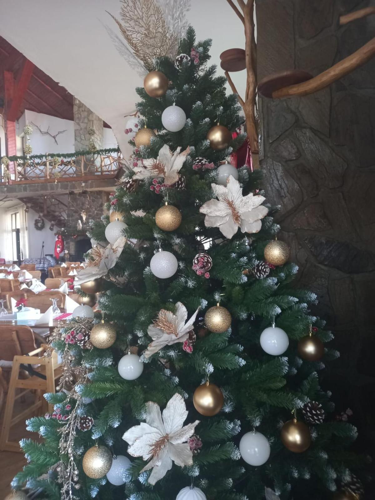 Special Offer New Year - Double Room photo 2