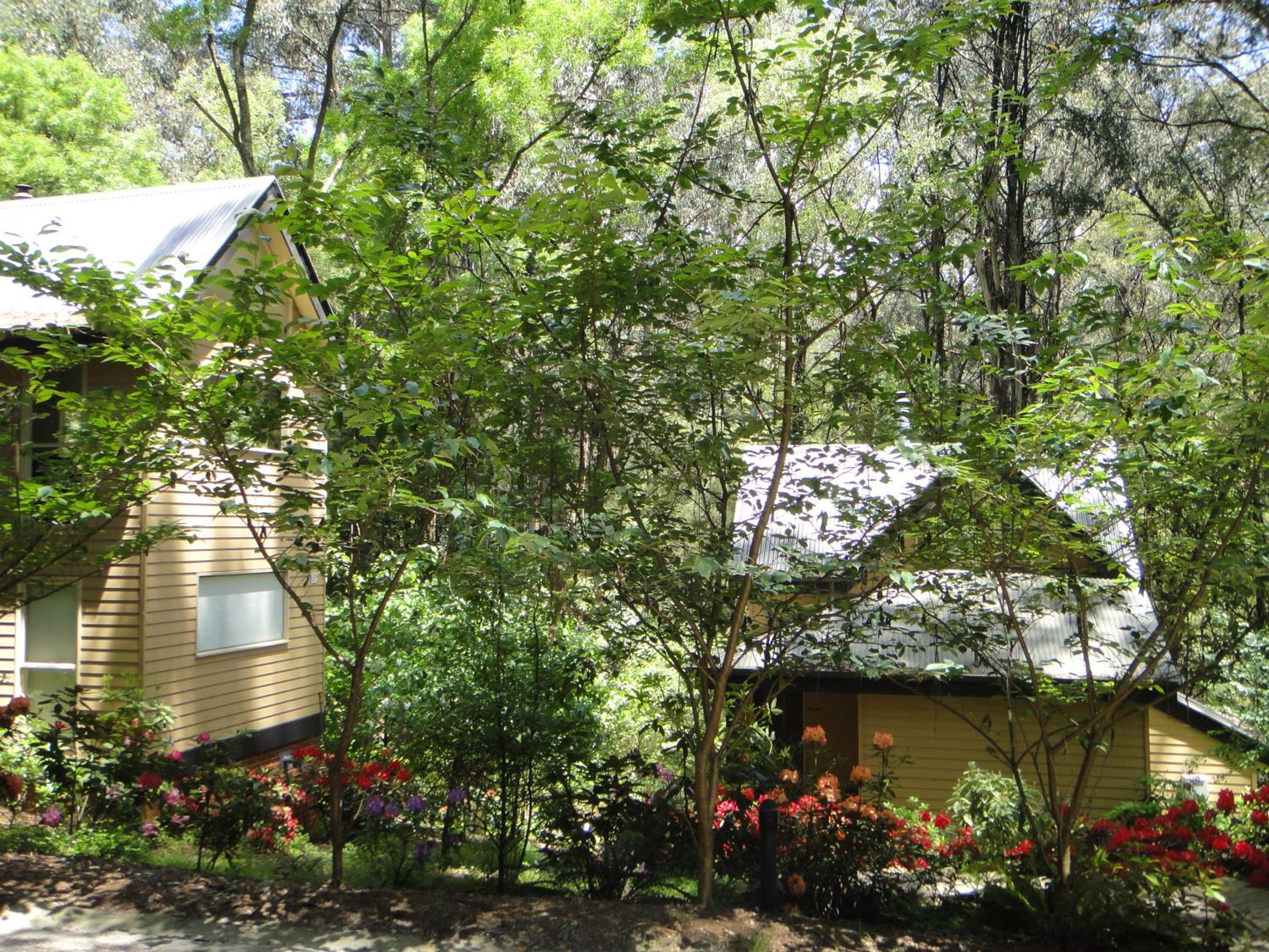 Treetops Guest house photo 2