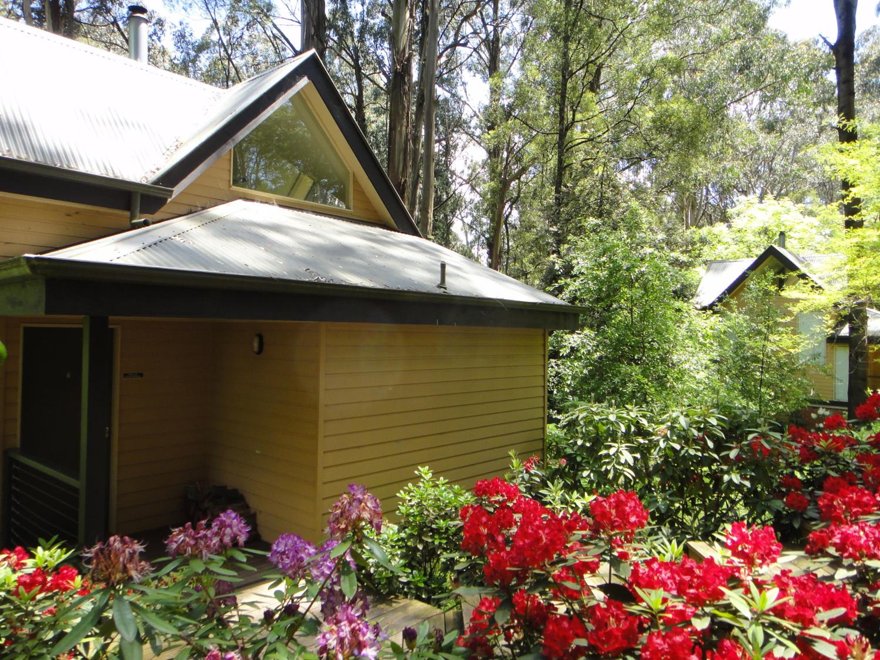 Treetops Cottage 1 - Photo 4