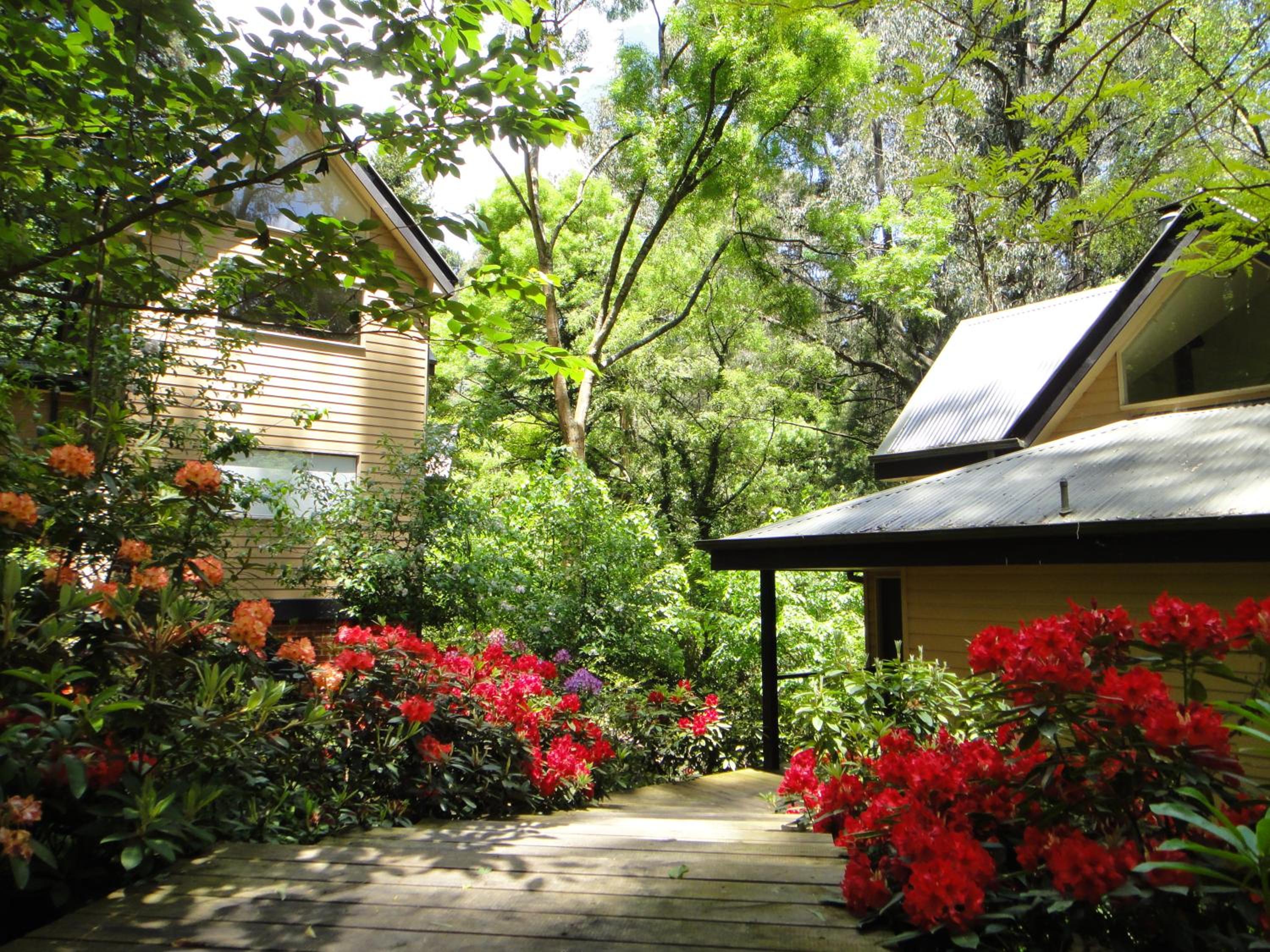 Treetops Cottage 1 - Photo 17