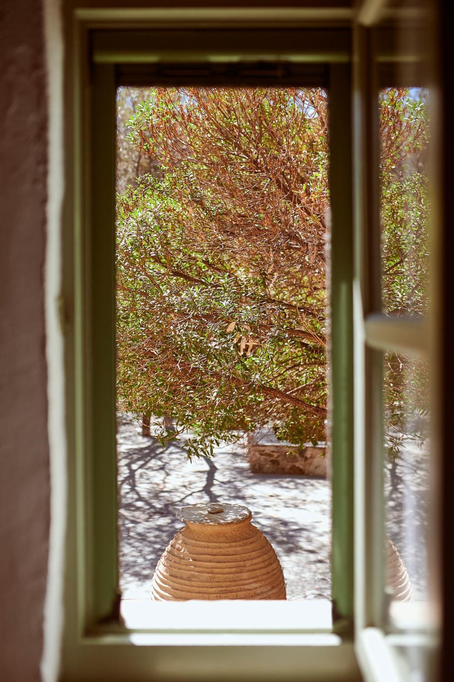 Double Room with Garden View photo 3