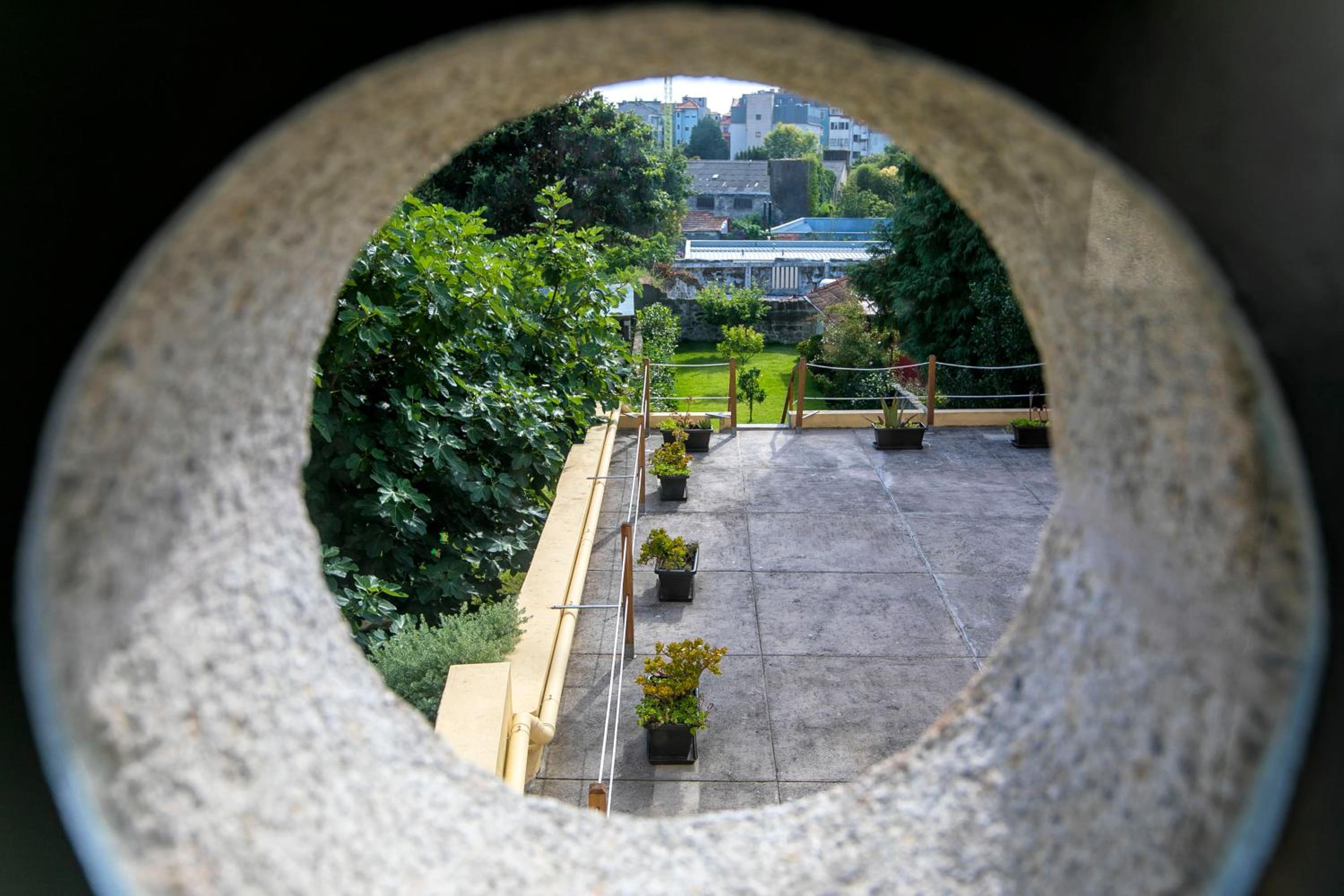 Studio with Garden View - Photo 7