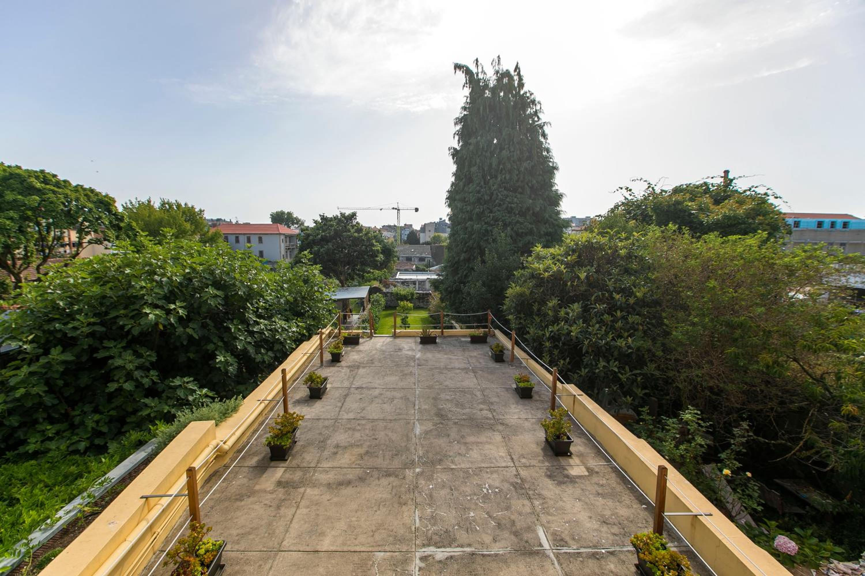 Studio with Garden View - Photo 8