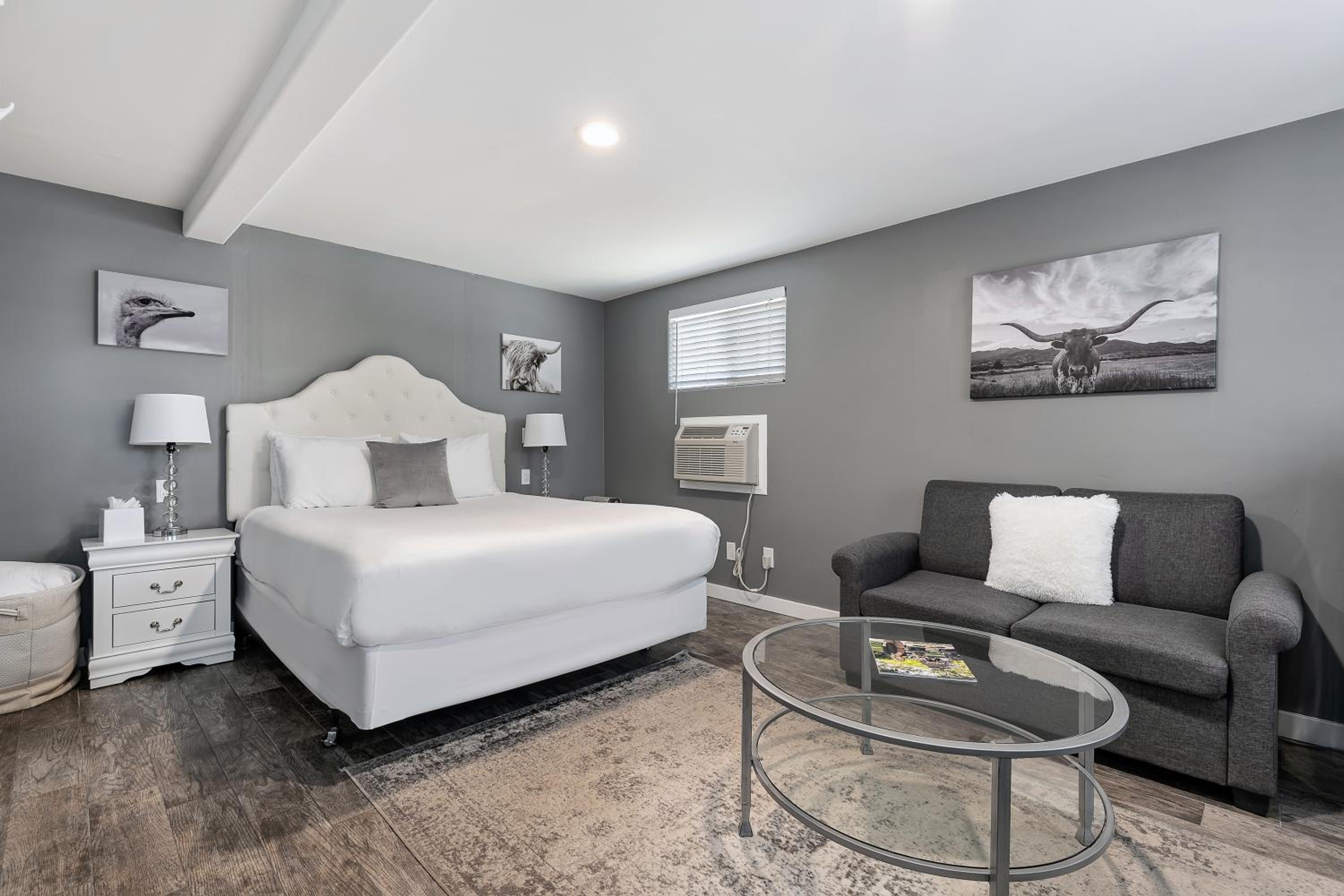 Queen Room with Sofa Bed