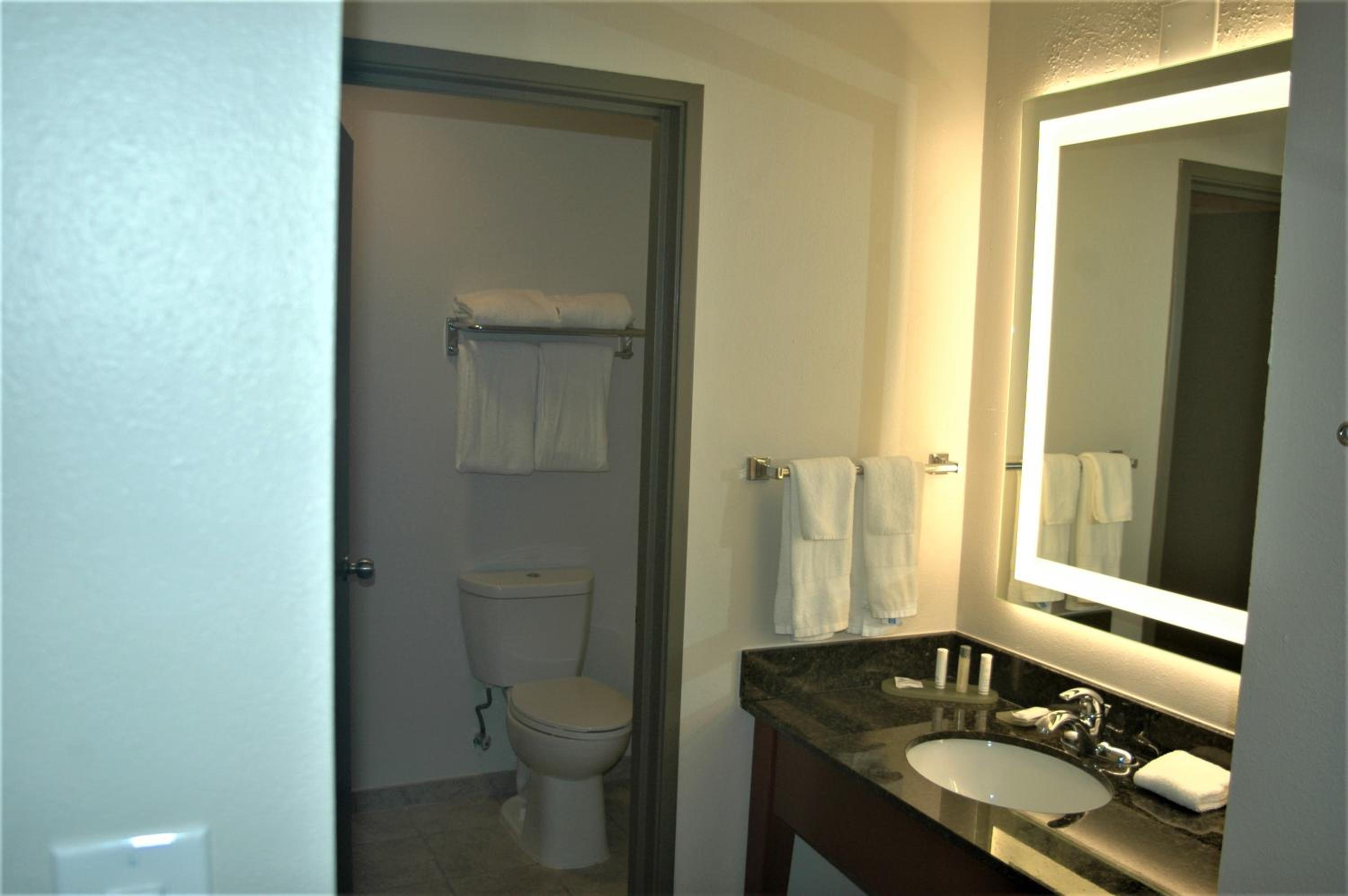 1 King Bed, Suite, City/Courtyard View, Non-Smoking - Photo 8