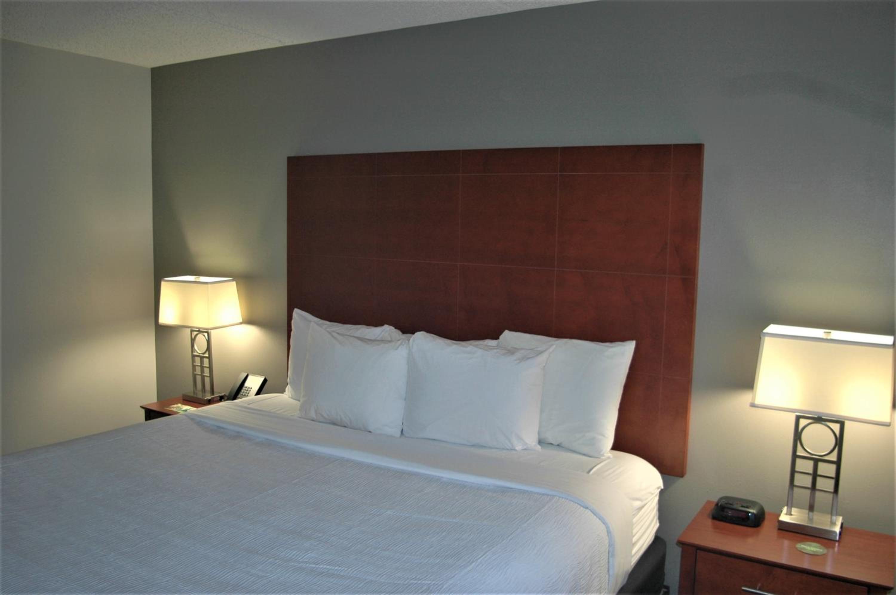 1 King Bed, Suite, City/Courtyard View, Non-Smoking - Photo 10