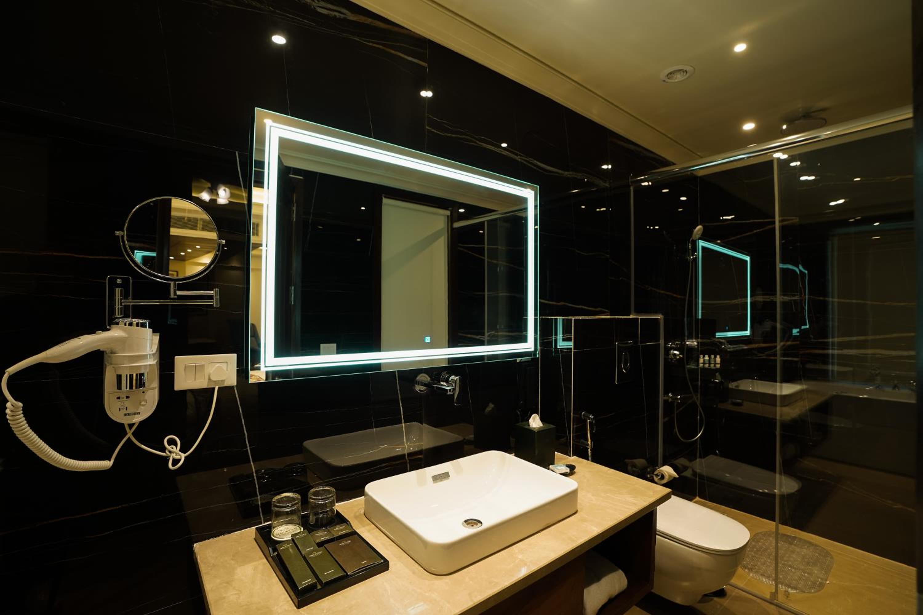 Premium Suite - Photo 5