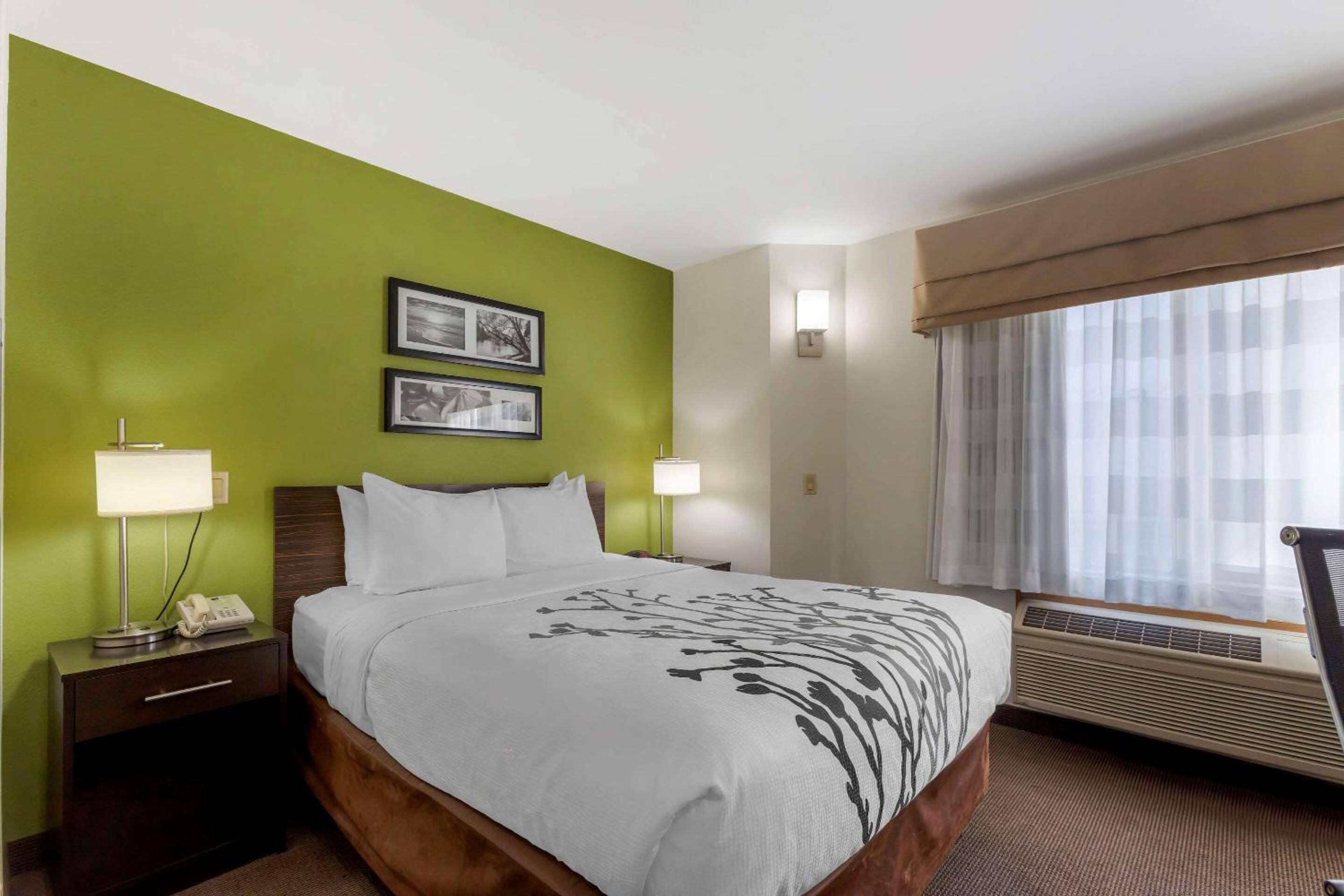 Queen Room with Accessible Tub - Accessible/Non-Smoking - Photo 1