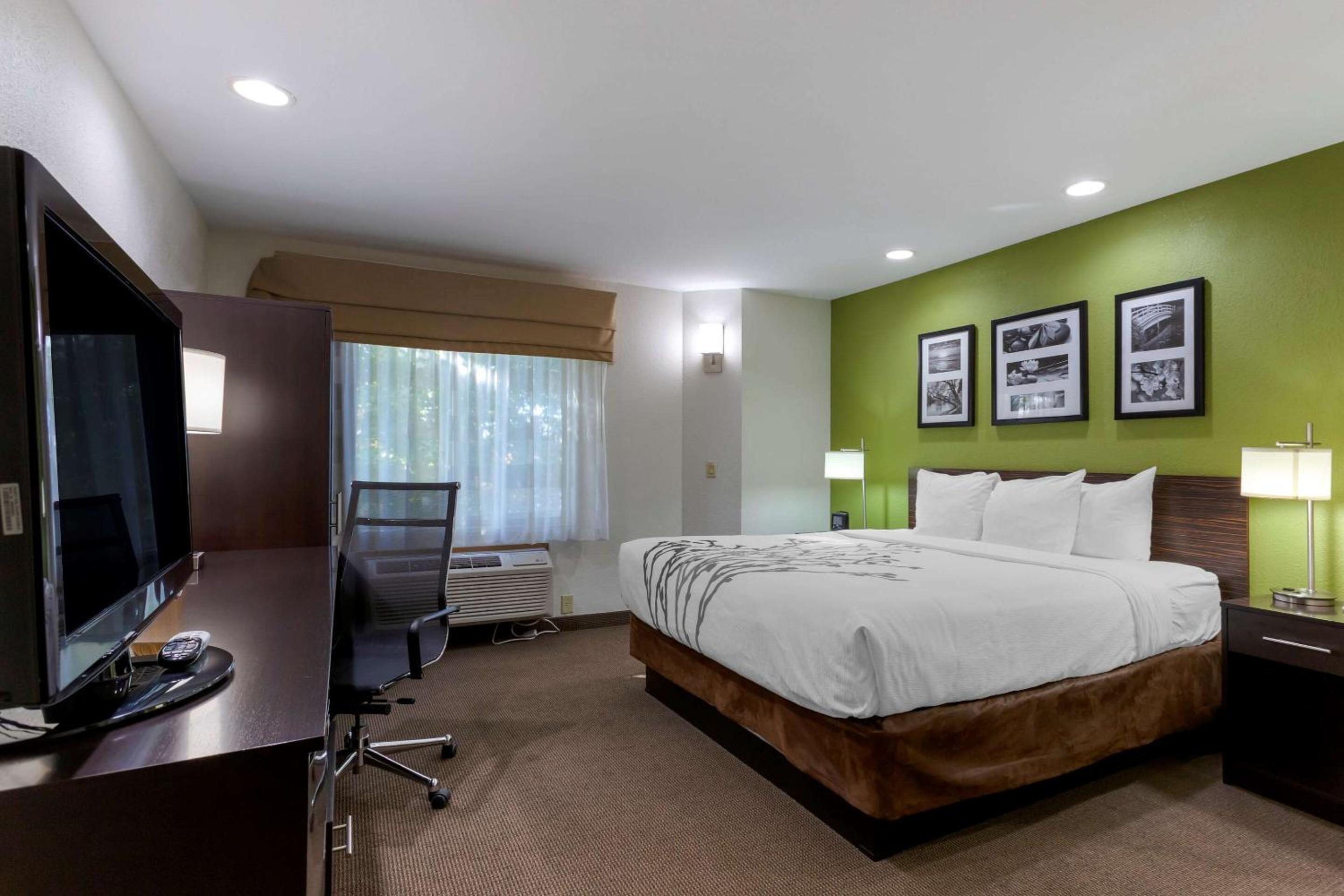 King Room - Non-Smoking - Photo 1