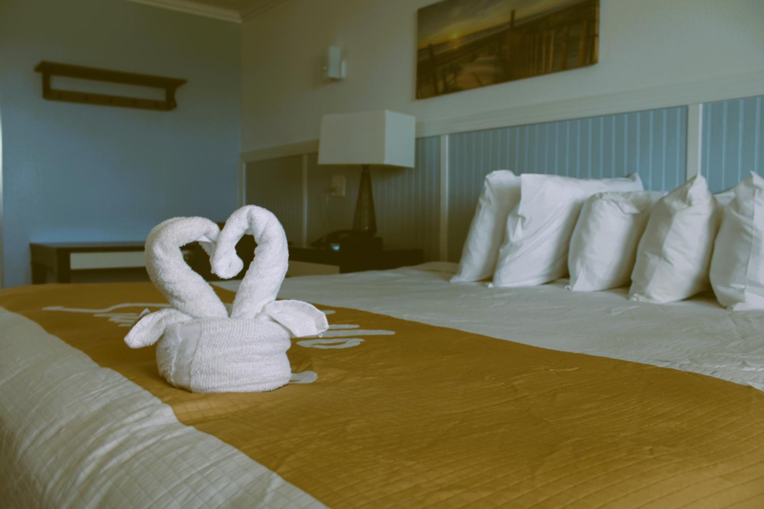 King Bed Room With Whirl Pool Tub Ocean Front- Third Floor - Photo 1