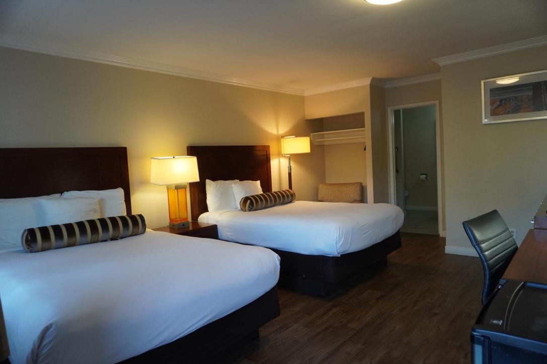 Room Selected at Check In photo 1