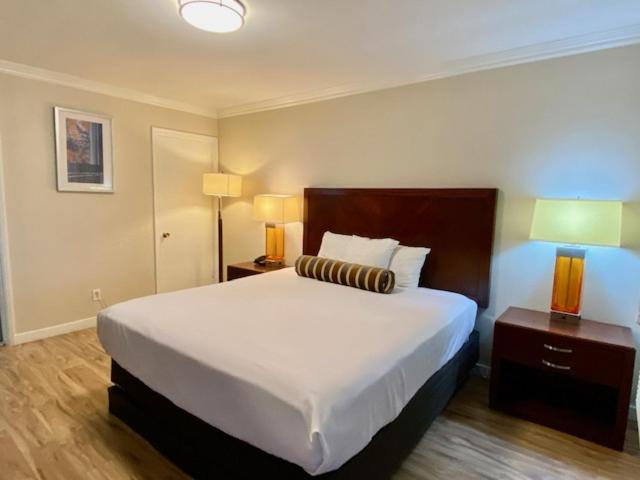 King Room photo 1