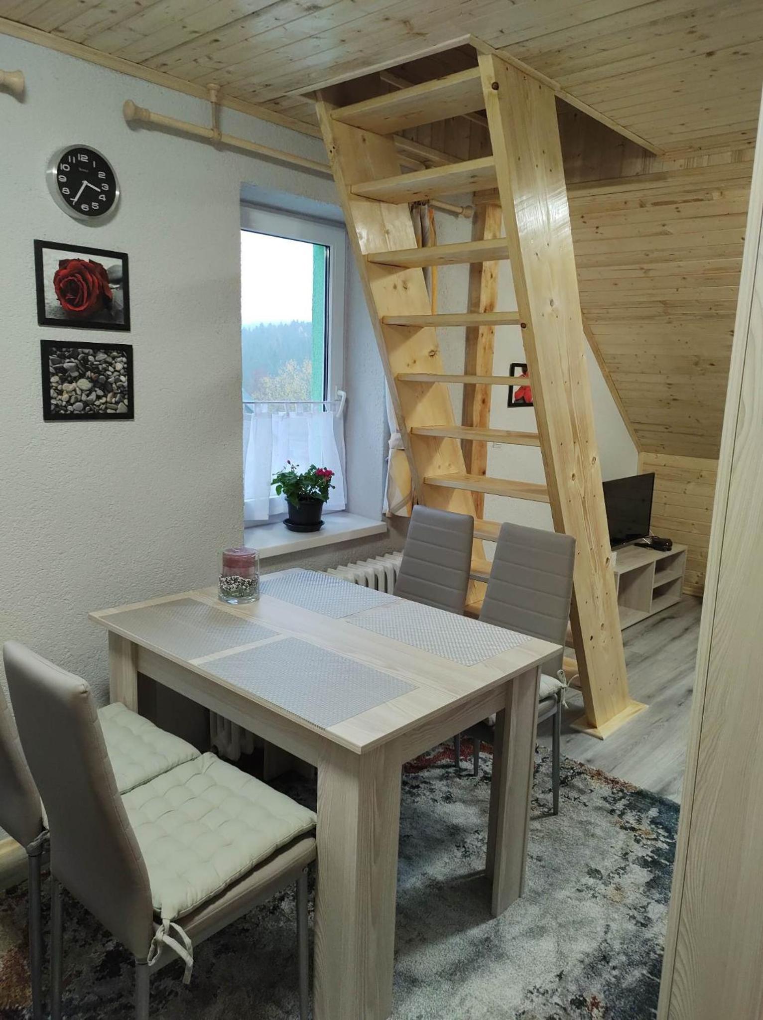Duplex Apartment photo 2