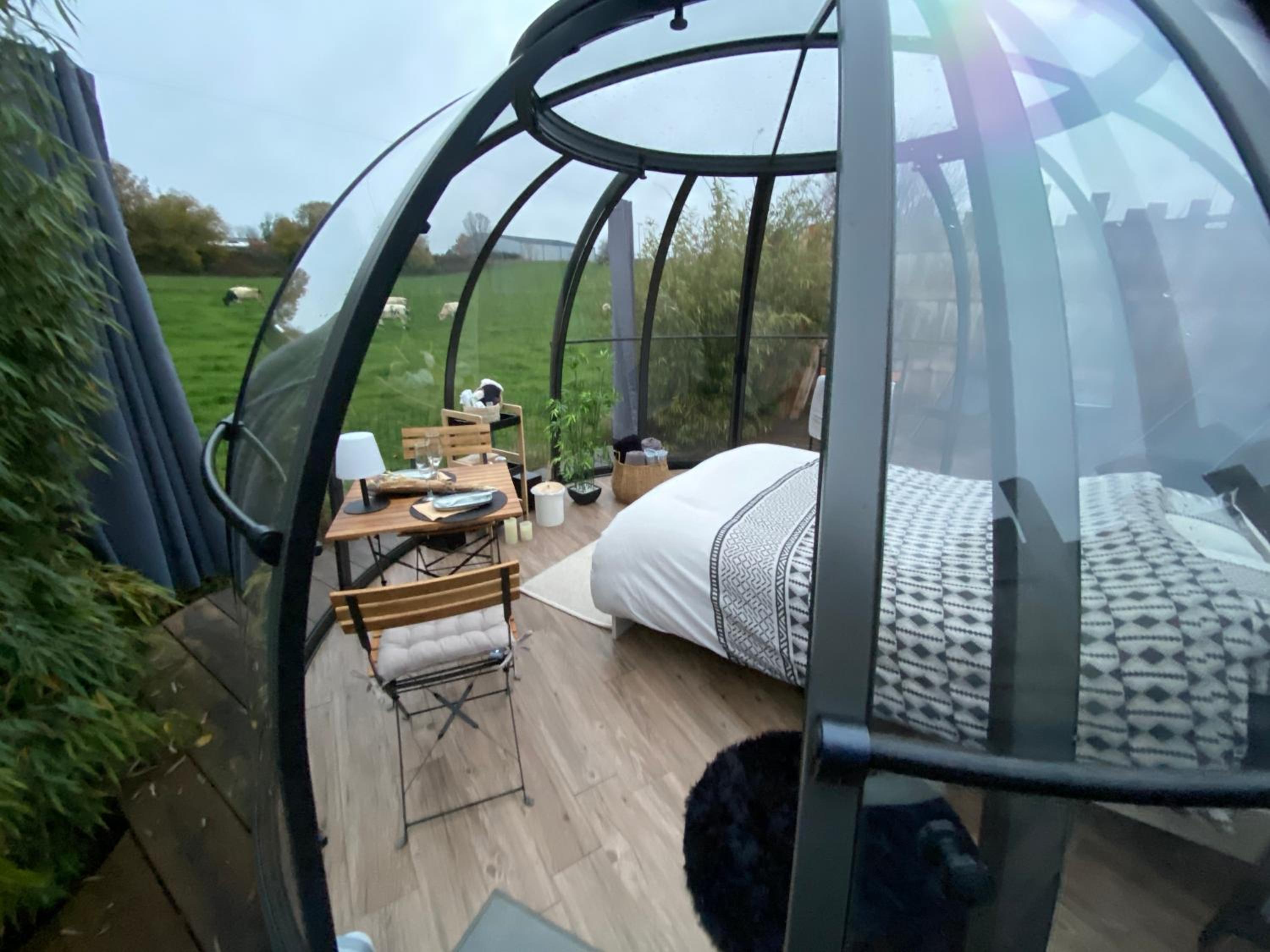 Tent