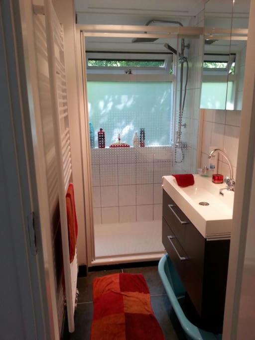 Three-Bedroom Chalet photo 2
