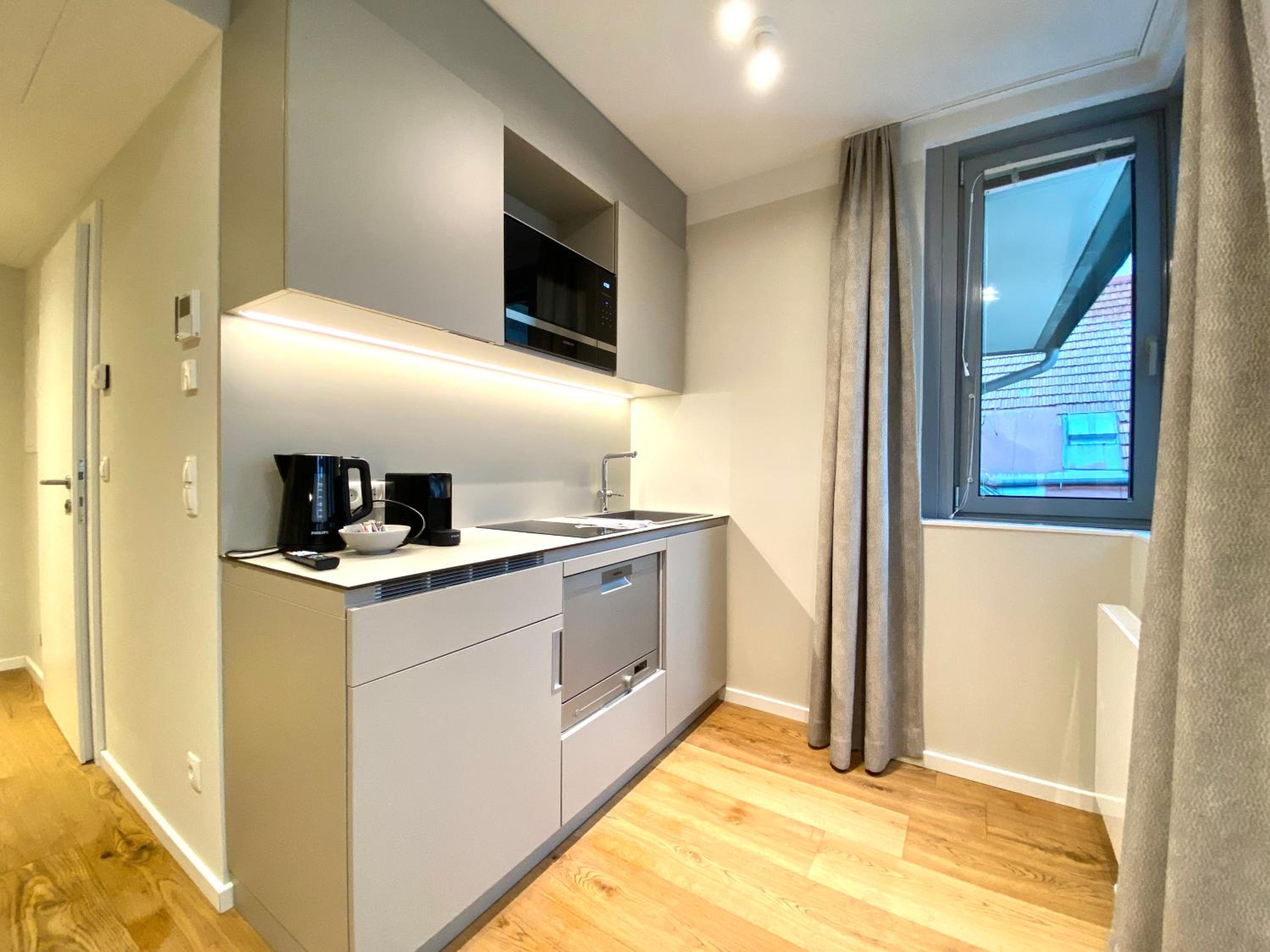 Large Deluxe Apartment