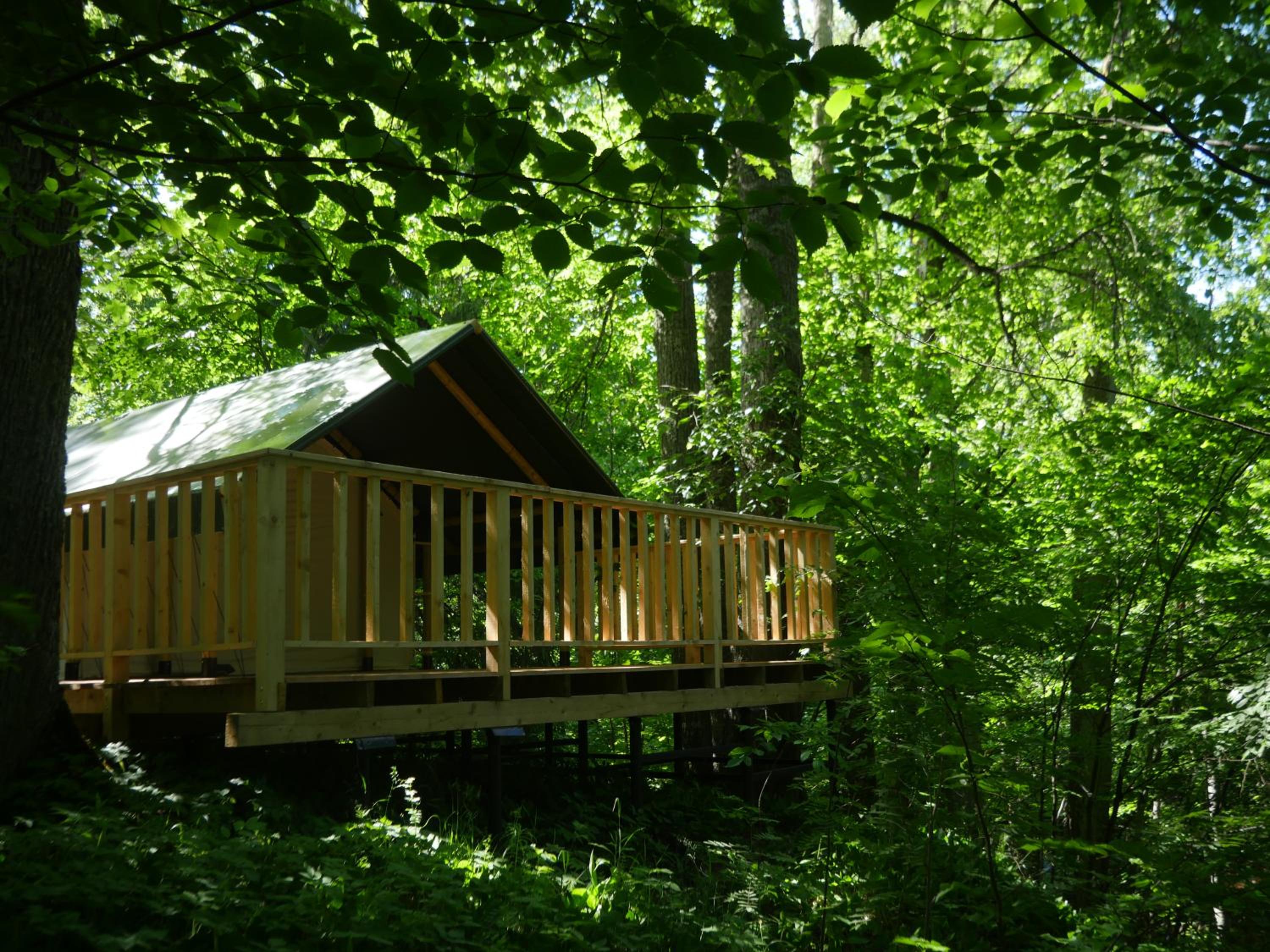 Tent - Photo 33