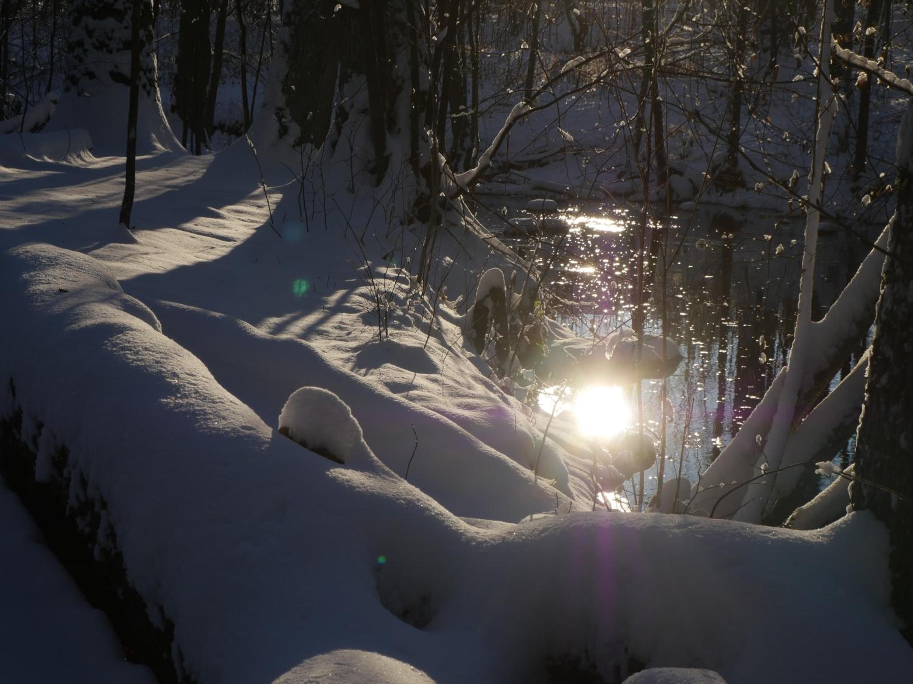 Tent - Photo 8