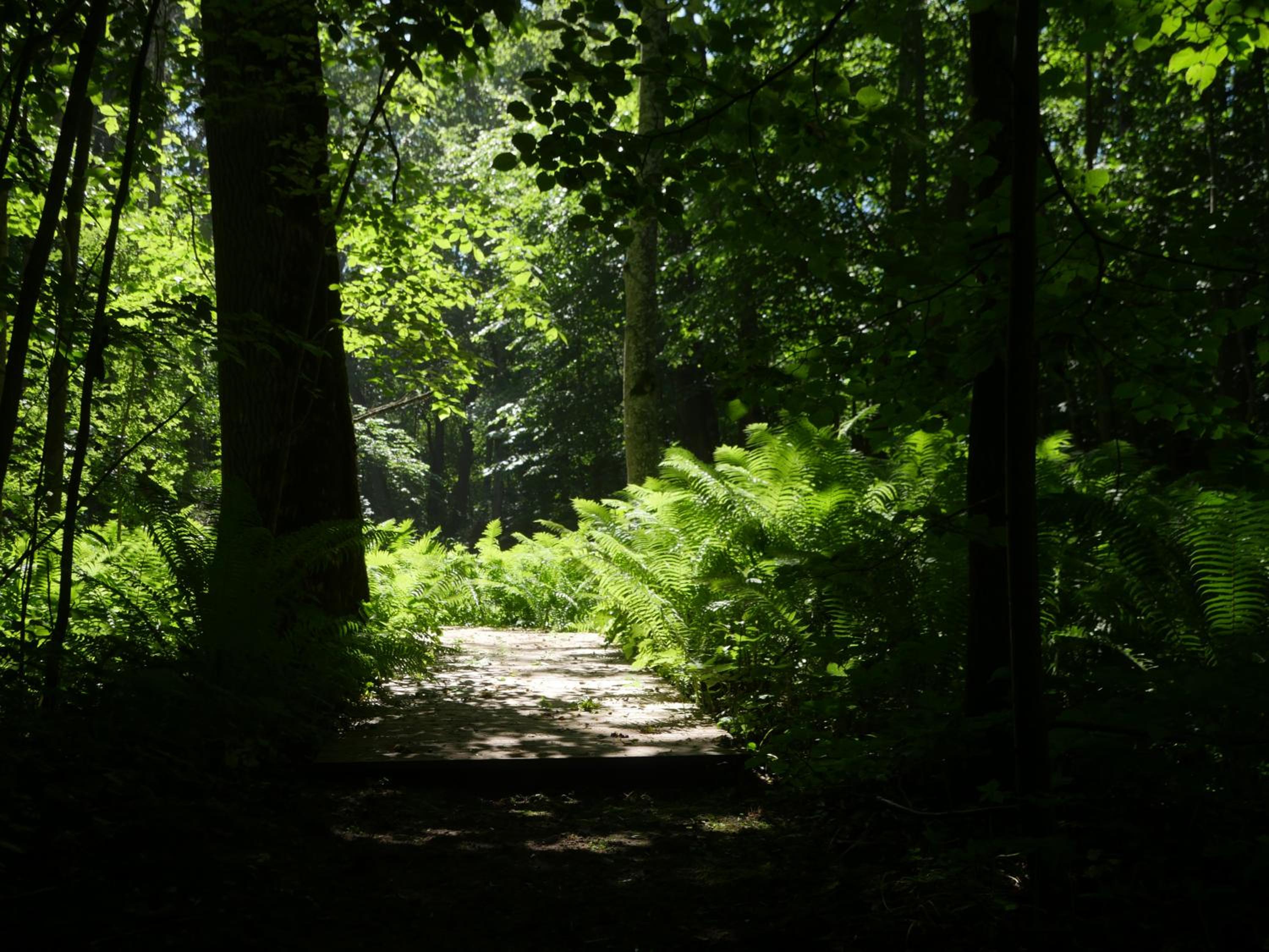 Tent - Photo 26