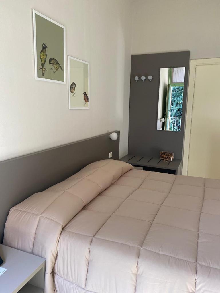 Large Double Room photo 1