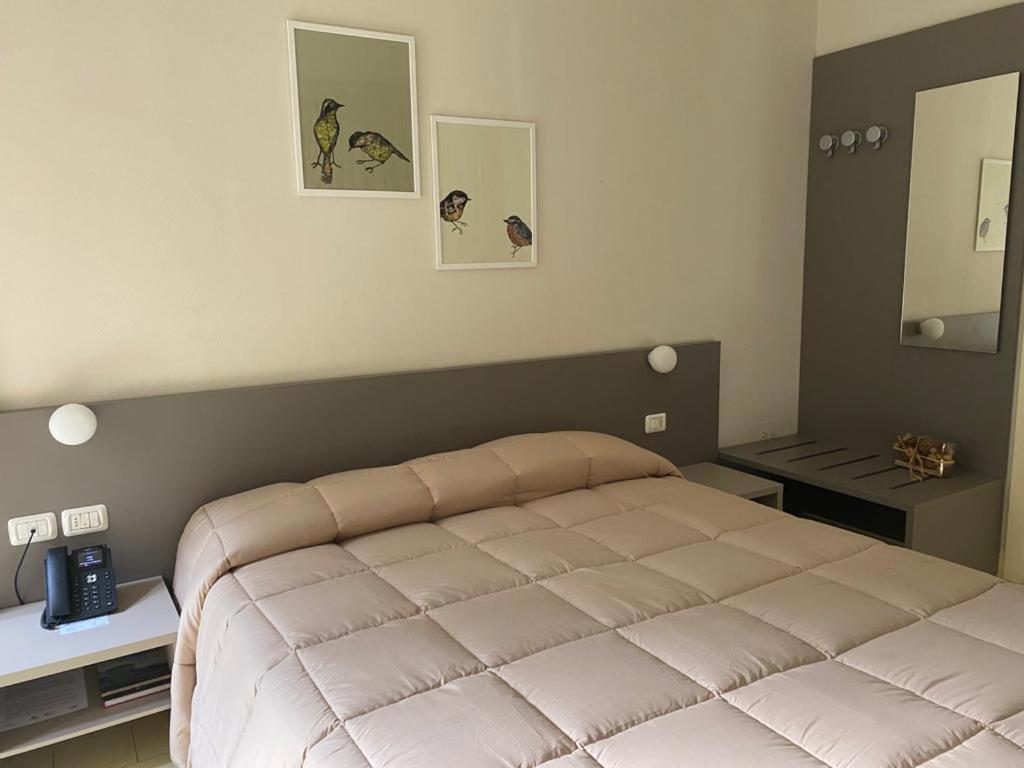 Large Double Room photo 3