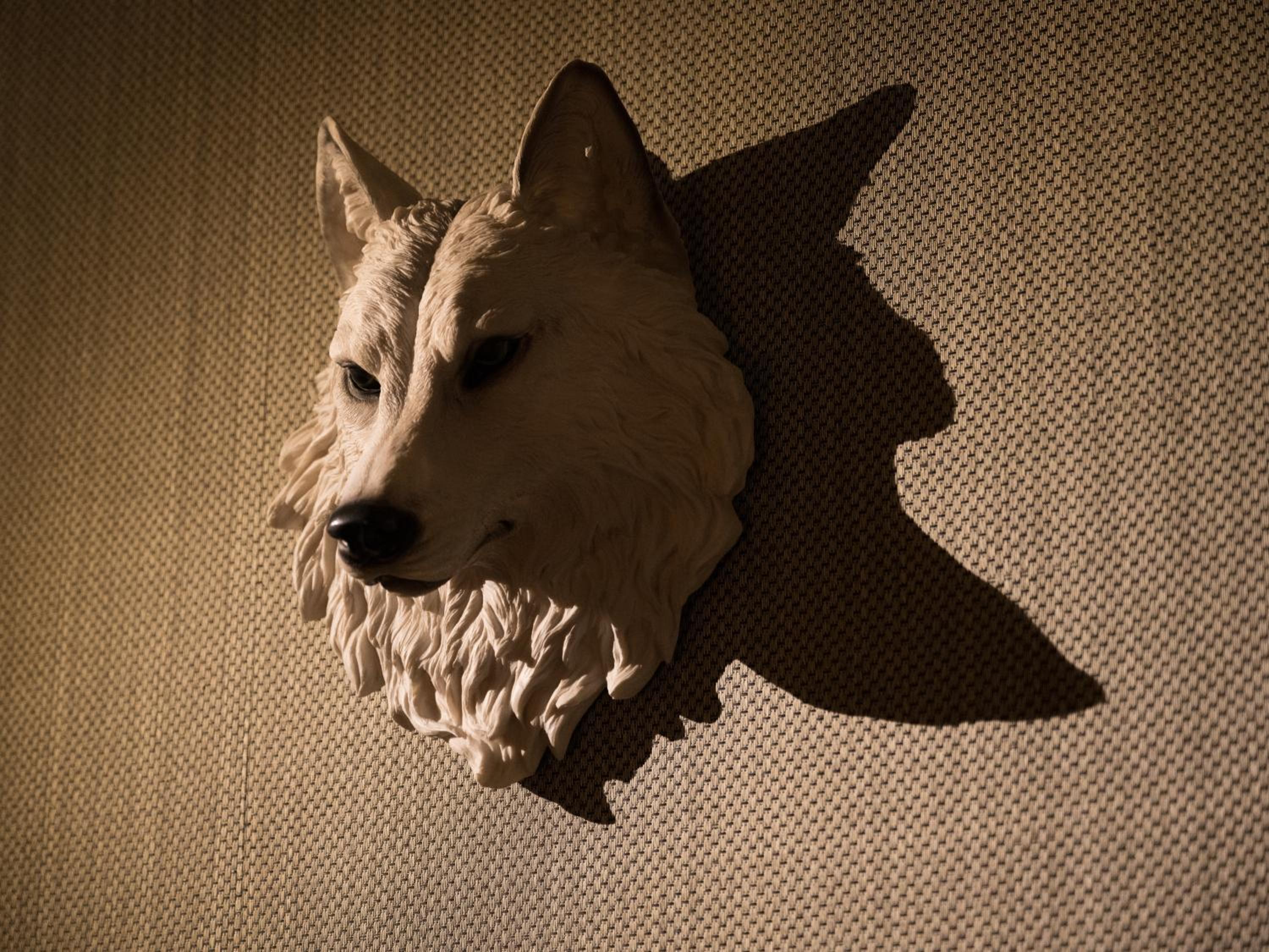 Werewolf and Murder Mystery Room thumbnail 6