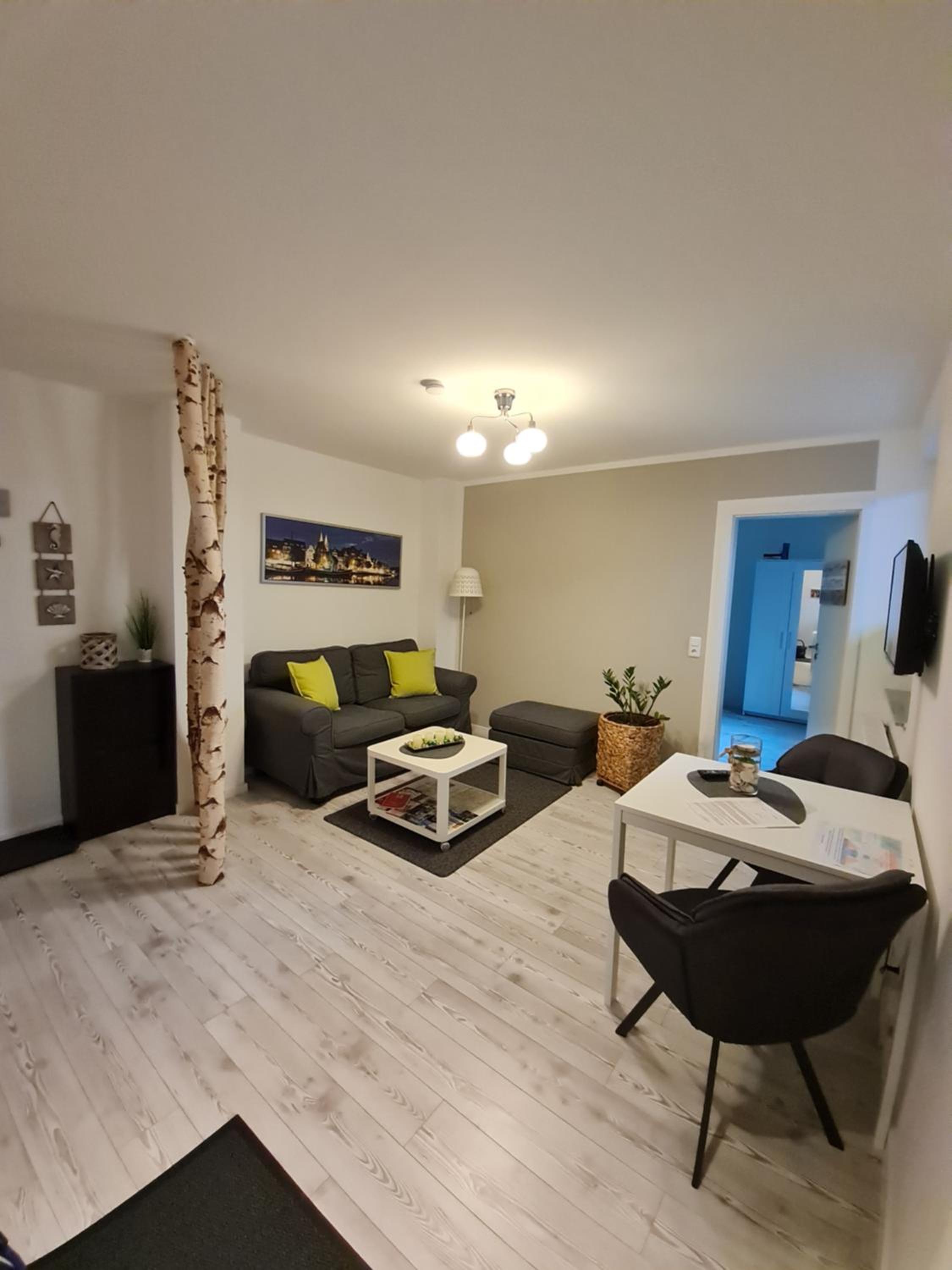 One-Bedroom Apartment photo 3