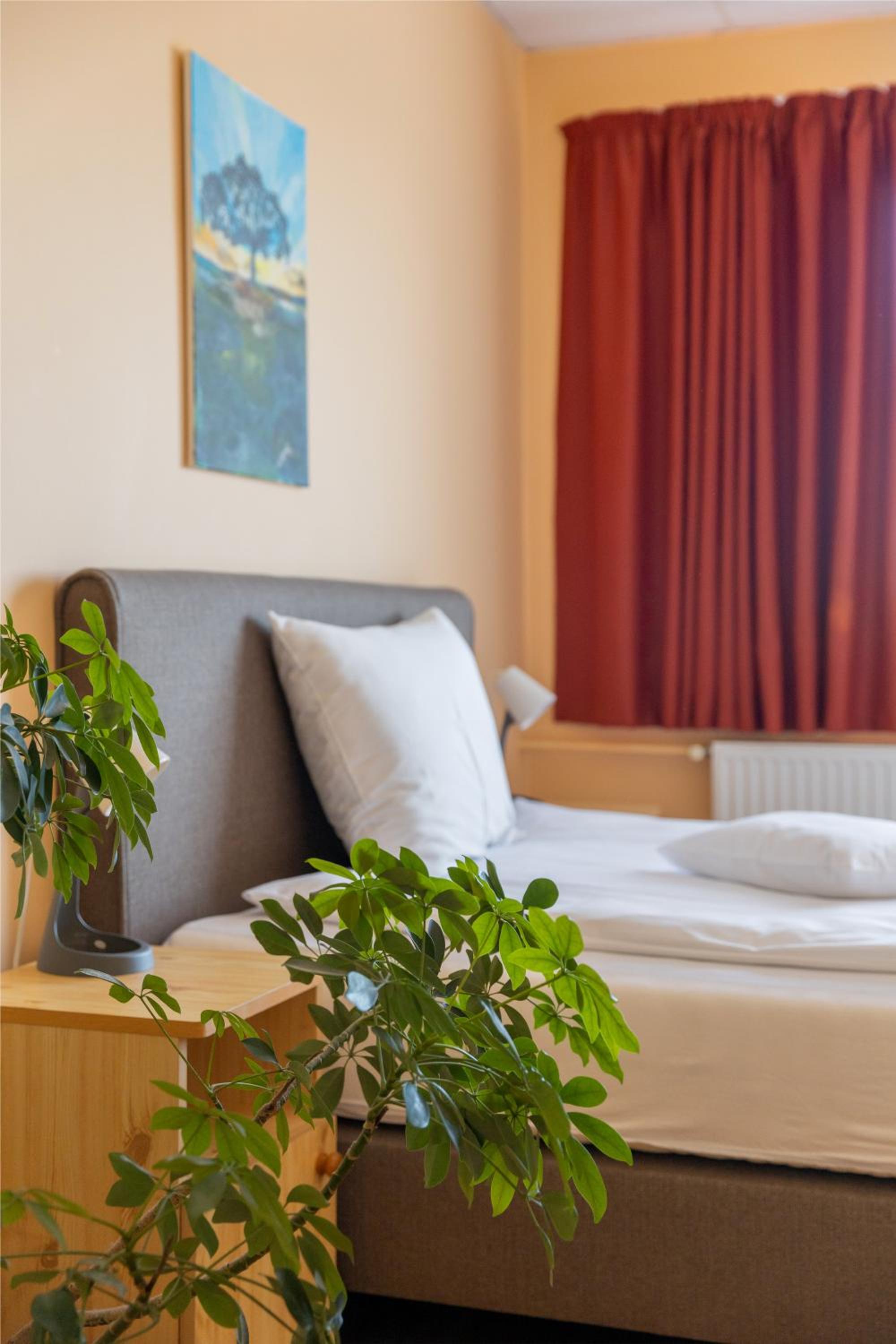 Triple Room with Private Bathroom photo 1