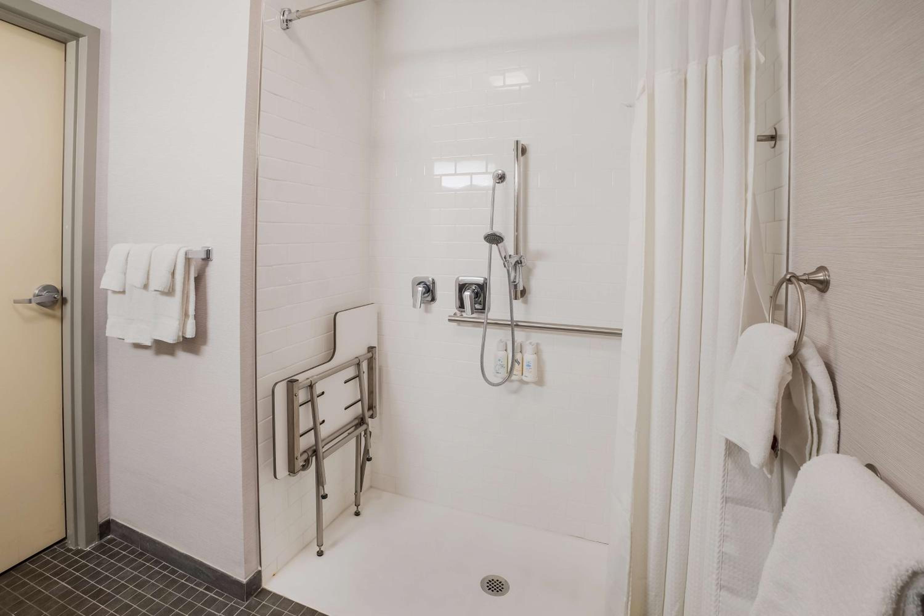 Mobility/Hearing Accessible Guestroom King Roll-In Shower - Photo 3