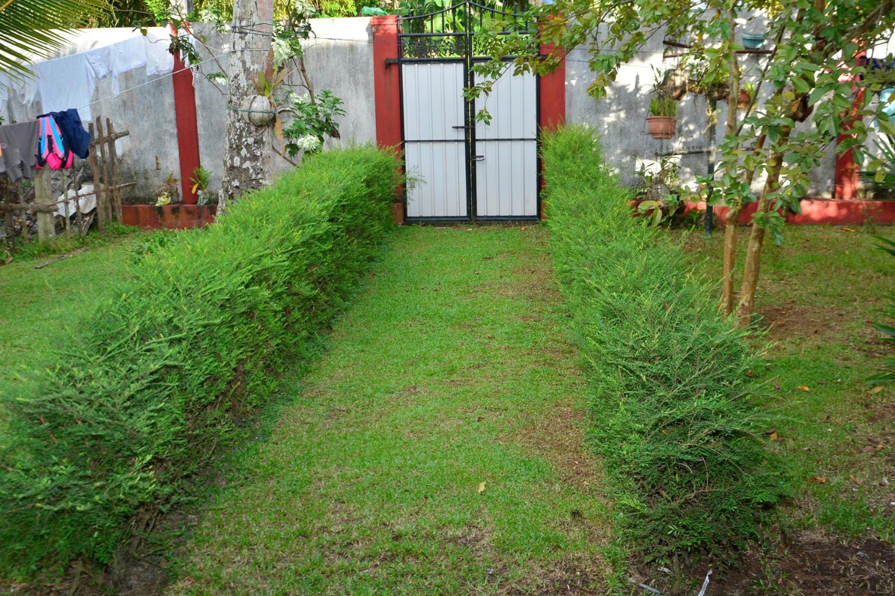 Two-Bedroom Villa photo 3