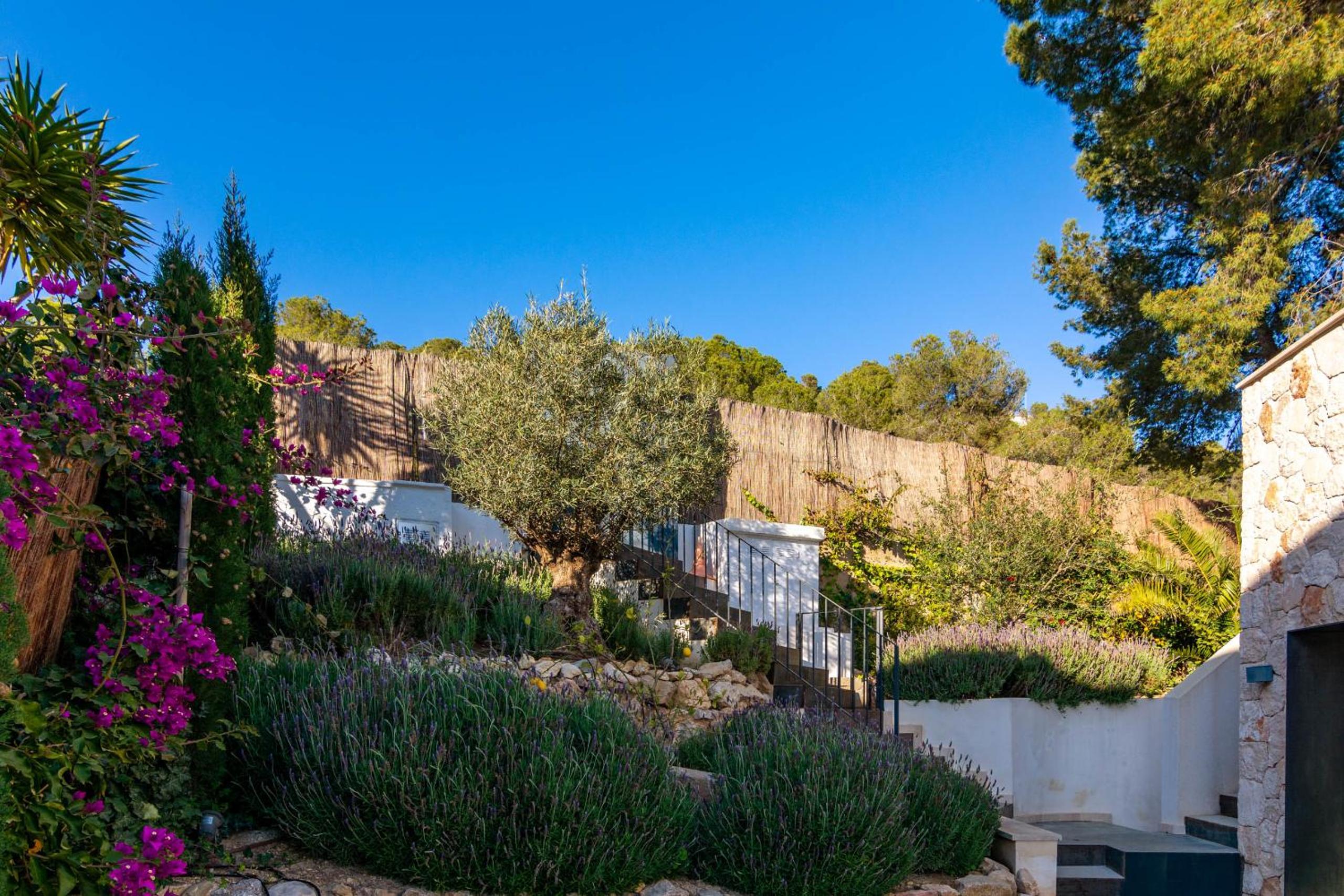 Villa photo 2