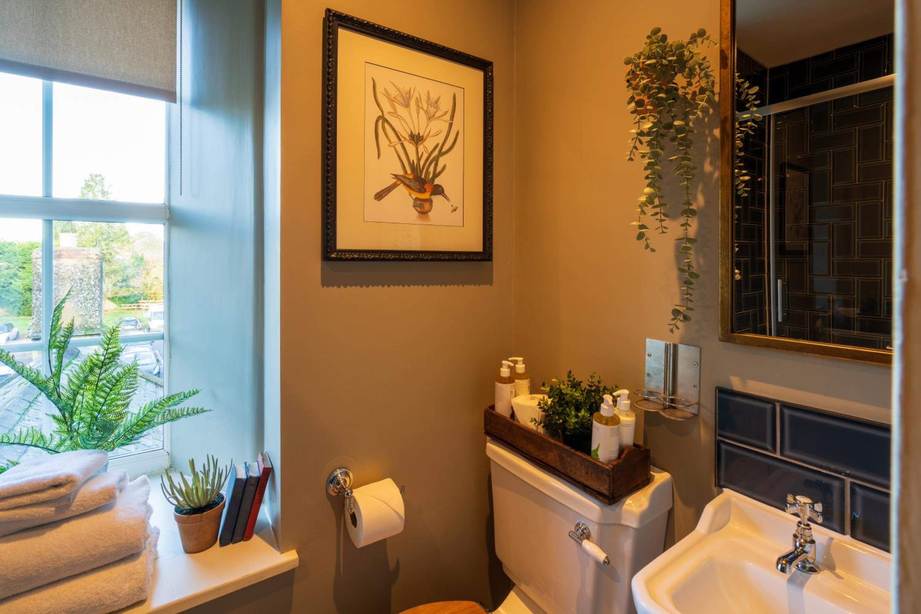 Superior Twin Room photo 3
