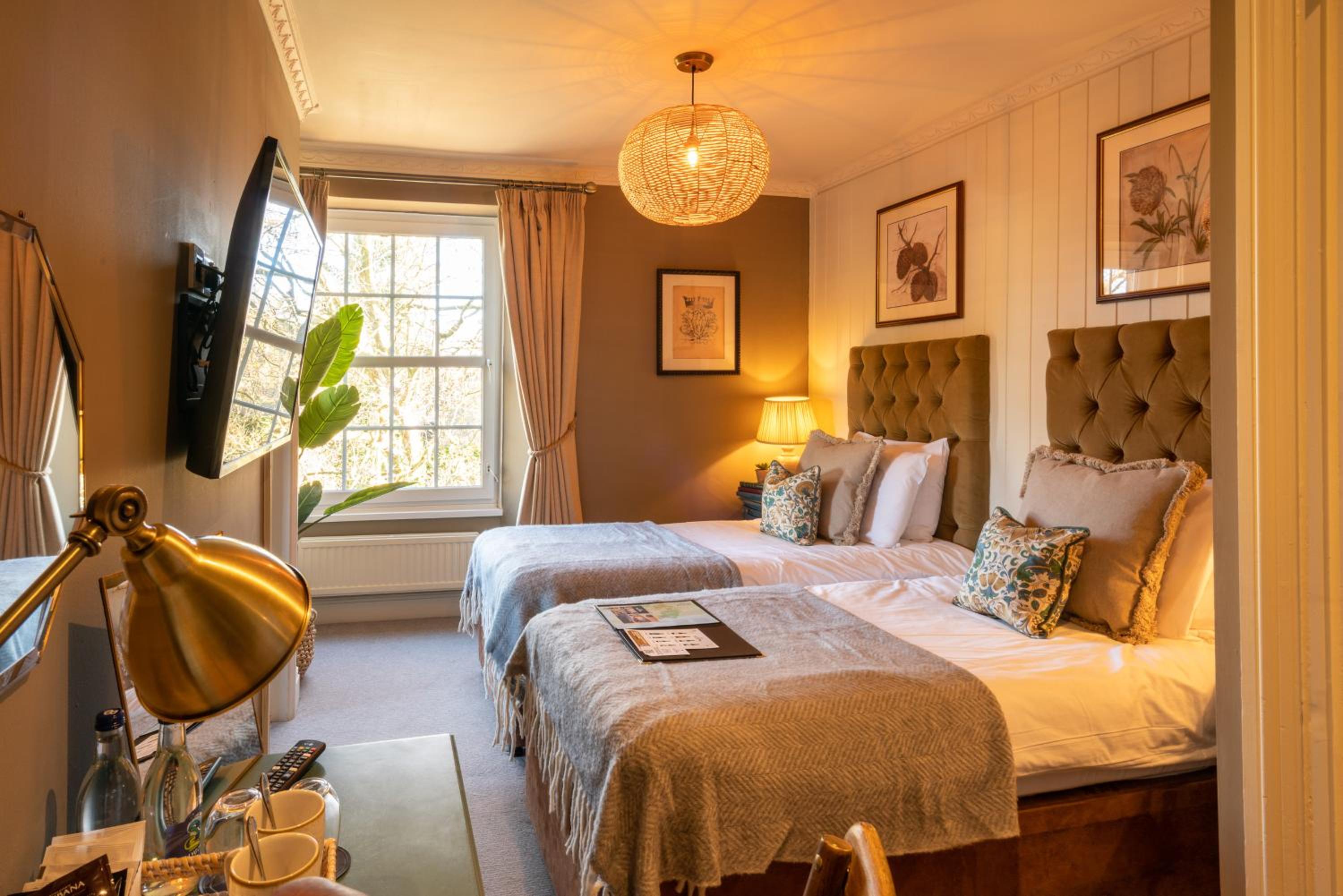 Superior Twin Room photo 1
