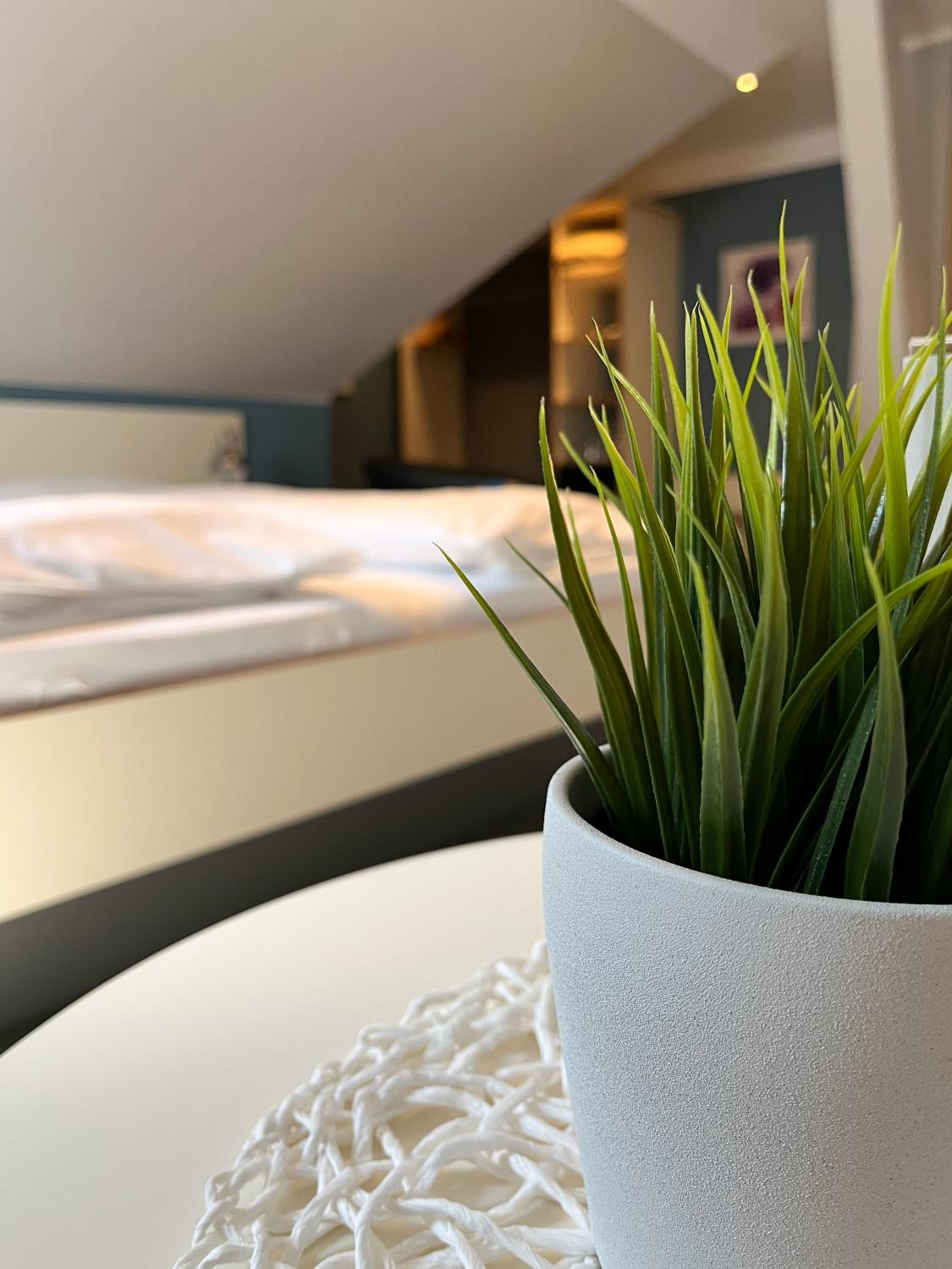 Stammhaus Comfort