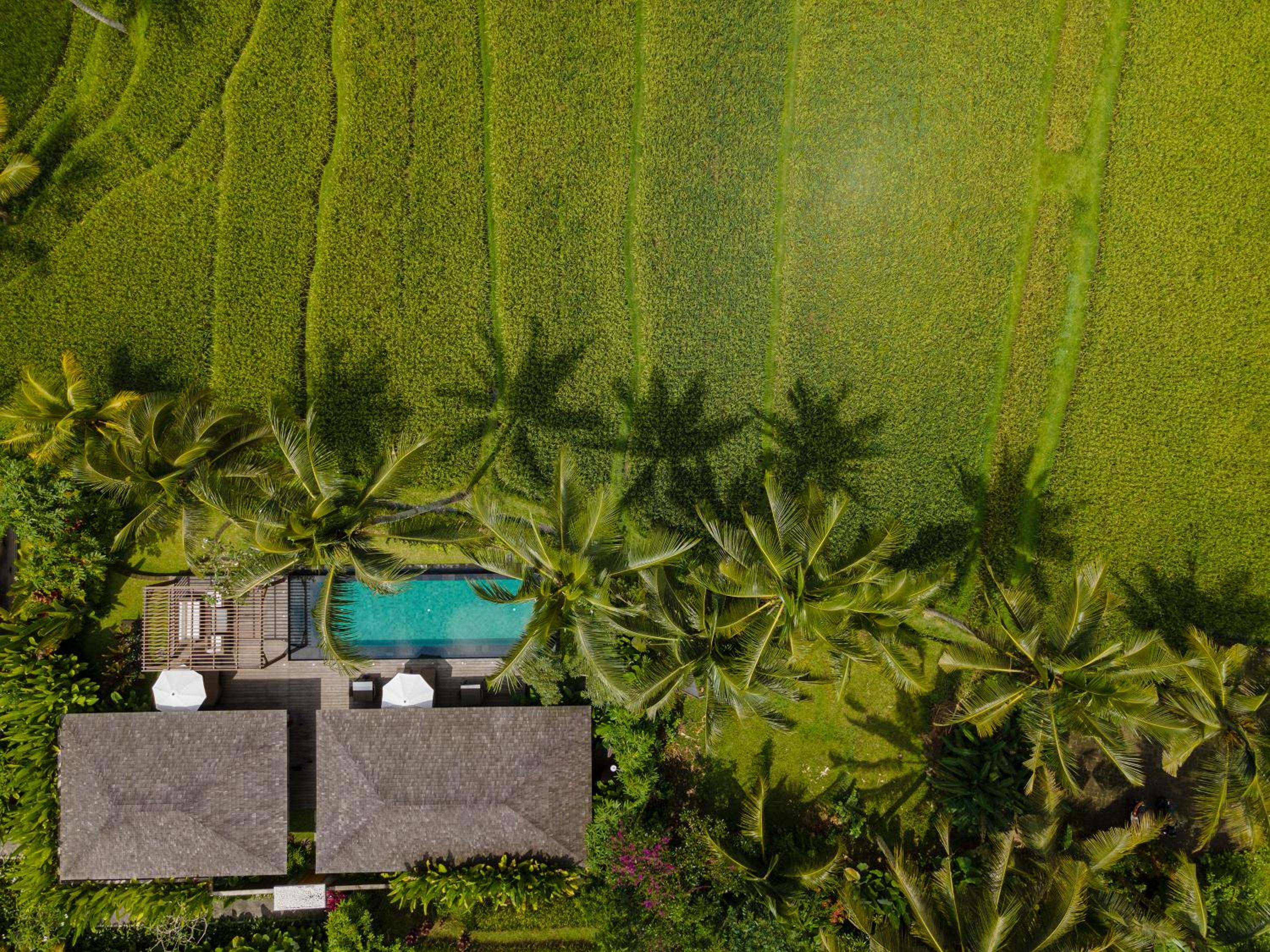Two-Bedroom Villa with Private Pool and Daily Scheduled Activities - Photo 14